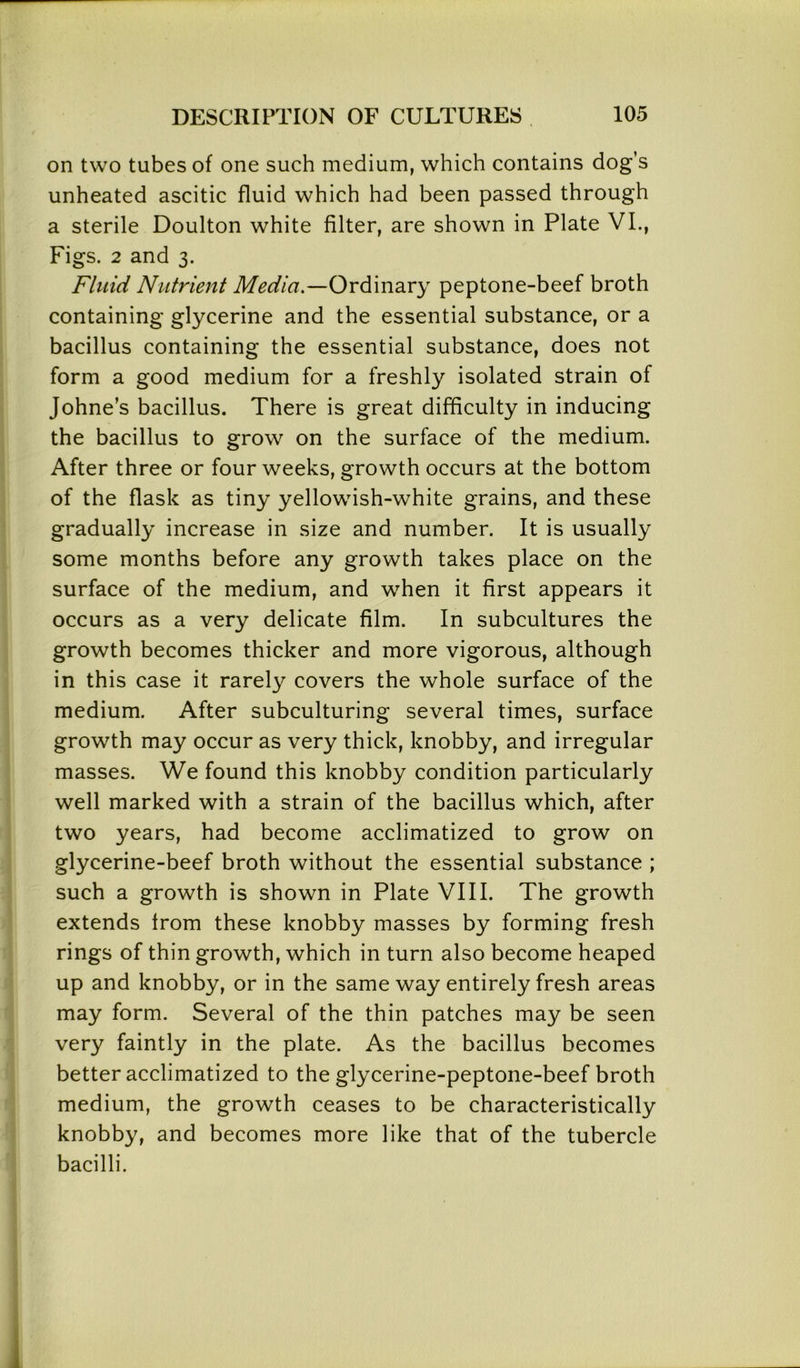 on two tubes of one such medium, which contains dog’s unheated ascitic fluid which had been passed through a sterile Doulton white filter, are shown in Plate VI., Figs. 2 and 3. Fluid Nutrient Media.—Ordinary peptone-beef broth containing glycerine and the essential substance, or a bacillus containing the essential substance, does not form a good medium for a freshly isolated strain of Johne’s bacillus. There is great difficulty in inducing the bacillus to grow on the surface of the medium. After three or four weeks, growth occurs at the bottom of the flask as tiny yellowish-white grains, and these gradually increase in size and number. It is usually some months before any growth takes place on the surface of the medium, and when it first appears it occurs as a very delicate film. In subcultures the growth becomes thicker and more vigorous, although in this case it rarely covers the whole surface of the medium. After subculturing several times, surface growth may occur as very thick, knobby, and irregular masses. We found this knobby condition particularly well marked with a strain of the bacillus which, after two years, had become acclimatized to grow on glycerine-beef broth without the essential substance ; such a growth is shown in Plate VIII. The growth extends from these knobby masses by forming fresh rings of thin growth, which in turn also become heaped up and knobby, or in the same way entirely fresh areas may form. Several of the thin patches may be seen very faintly in the plate. As the bacillus becomes better acclimatized to the glycerine-peptone-beef broth medium, the growth ceases to be characteristically knobby, and becomes more like that of the tubercle bacilli.