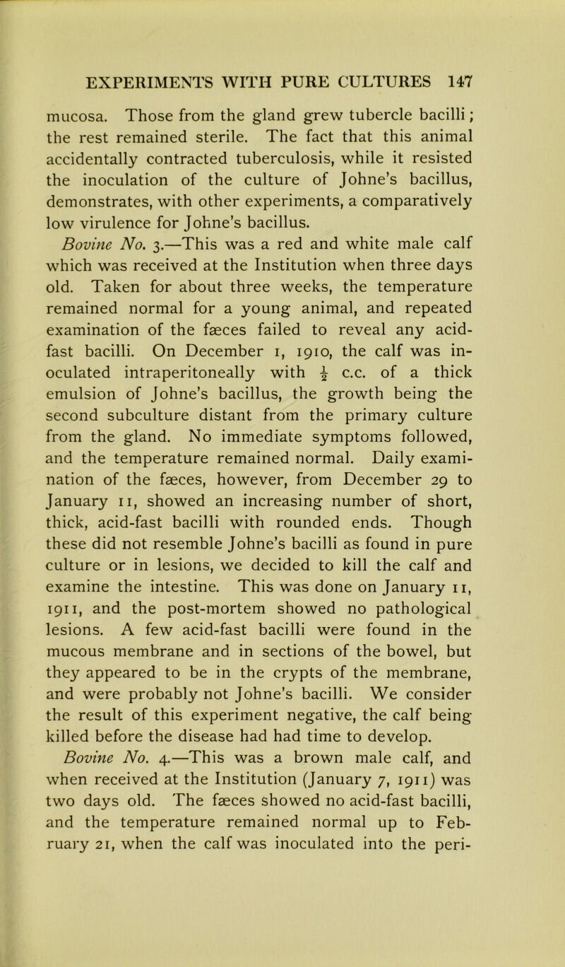 mucosa. Those from the gland grew tubercle bacilli; the rest remained sterile. The fact that this animal accidentally contracted tuberculosis, while it resisted the inoculation of the culture of Johne’s bacillus, demonstrates, with other experiments, a comparatively low virulence for Johne’s bacillus. Bovine No. 3.—This was a red and white male calf which was received at the Institution when three days old. Taken for about three weeks, the temperature remained normal for a young animal, and repeated examination of the faeces failed to reveal any acid- fast bacilli. On December 1, 1910, the calf was in- oculated intraperitoneally with £ c.c. of a thick emulsion of Johne’s bacillus, the growth being the second subculture distant from the primary culture from the gland. No immediate symptoms followed, and the temperature remained normal. Daily exami- nation of the faeces, however, from December 29 to January 11, showed an increasing number of short, thick, acid-fast bacilli with rounded ends. Though these did not resemble Johne’s bacilli as found in pure culture or in lesions, we decided to kill the calf and examine the intestine. This was done on January 11, 1911, and the post-mortem showed no pathological lesions. A few acid-fast bacilli were found in the mucous membrane and in sections of the bowel, but they appeared to be in the crypts of the membrane, and were probably not Johne’s bacilli. We consider the result of this experiment negative, the calf being killed before the disease had had time to develop. Bovine No. 4.—This was a brown male calf, and when received at the Institution (January 7, 1911) was two days old. The faeces showed no acid-fast bacilli, and the temperature remained normal up to Feb- ruary 21, when the calf was inoculated into the peri-