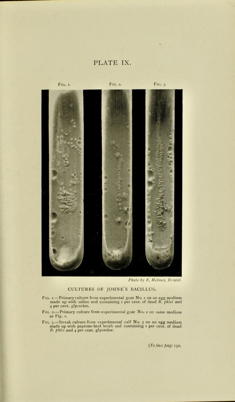 PLATE IX. Fig. i. Fig. 2. Fig. Photo by F. Holmes, Bristol. CULTURES OF JOHNE’S BACILLUS. Fig. i.—Primary culture from experimental goat No. i on an egg medium made up with saline and containing i per cent, of dead B. phlei and 4 per cent, glycerine. Fig. 2.—Primary culture from experimental goat No. 2 on same medium as Fig. 1. Fig. 3.—Streak culture from experimental calf No. 5 on an egg medium made up with peptone-beef broth and containing 1 per cent, of dead B. phlei and 4 per cent, glycerine. [To face page 150.