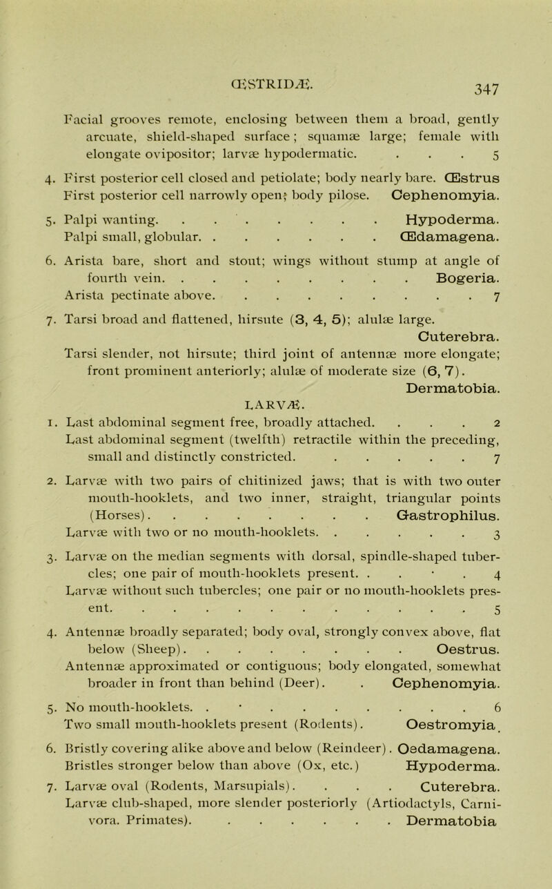 (K STRIDE. Facial grooves remote, enclosing between them a broad, gently arcuate, shield-shaped surface; squamae large; female with elongate ovipositor; larvae hypodermatic. ... 5 4. First posterior cell closed and petiolate; body nearly bare. CEstrus First posterior cell narrowly open> body pilose. Cephenomyia. 5. Palpi wanting. . Hypoderma. Palpi small, globular. ...... CEdamagena. 6. Arista bare, short and stout; wings without stump at angle of fourth vein. ........ Bogeria. Arista pectinate above. ........ 7 7. Tarsi broad and flattened, hirsute (3, 4, 5); alulae large. Cuterebra. Tarsi slender, not hirsute; third joint of antennae more elongate; front prominent anteriorly; alulae of moderate size (6, 7). Dermatobia. larva}. 1. Last abdominal segment free, broadly attached. ... 2 Last abdominal segment (twelfth) retractile within the preceding, small and distinctly constricted. ..... 7 2. Larvae with two pairs of chitinized jaws; that is with two outer mouth-liooklets, and two inner, straight, triangular points (Horses) Gastrophilus. Larvae with two or no mouth-liooklets. ..... 3 3. Larvae on the median segments with dorsal, spindle-shaped tuber- cles; one pair of mouth-liooklets present. 4 Larvae without such tubercles; one pair or no mouth-liooklets pres- ent 5 4. Antennae broadly separated; body oval, strongly convex above, flat below (Sheep) Oestrus. Antennae approximated or contiguous; body elongated, somewhat broader in front than behind (Deer). . Cephenomyia. 5. No moutli-hooklets. ......... 6 Two small mouth-liooklets present (Rodents). Oestromyia 6. Bristly covering alike above and below (Reindeer). Osdamagena. Bristles stronger below than above (Ox, etc.) Hypoderma. 7. Larvae oval (Rodents, Marsupials).... Cuterebra. Larvae club-shaped, more slender posteriorly (Artiodactyls, Carni- vora. Primates). Dermatobia