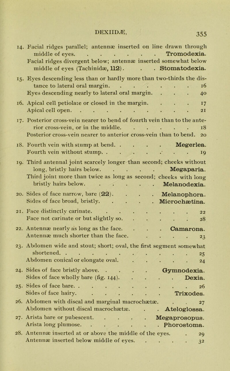 14. Facial ridges parallel; antennae inserted on line drawn through middle of eyes Tromodexia. Facial ridges divergent below; antennae inserted somewhat below middle of eyes (Tacliinidae, 112). . . Stomatodexia. 15. Eyes descending less than or hardly more than two-tliirds the dis- tance to lateral oral margin. ...... 16 Eyes descending nearly to lateral oral margin. ... 40 16. Apical cell petiolate or closed in the margin. ... 17 Apical cell open. . . . . . . . . . 21 17. Posterior cross-vein nearer to bend of fourth vein than to the ante- rior cross-vein, or in the middle. ..... 18 Posterior cross-vein nearer to anterior cross-vein than to bend. 20 18. Fourth vein with stump at bend. .... Megerlea. Fourth vein without stump. ........ 19 19. Third antennal joint scarcely longer than second; cheeks without long, bristly hairs below. .... Megaparia. Third joint more than twice as long as second; cheeks with long Melanodexia. bristly hairs below. 20. Sides of face narrow, bare (22). Sides of face broad, bristly. 21. Face distinctly carinate. Face not carinate or but slightly so. 22. Antennae nearly as long as the face. Antennae much shorter than the face. Melanophora. Microchsetina. 22 28 Camarona. • . . 2X 23. Abdomen wide and stout; short; oval, the first segment somewhat shortened. .... Abdomen conical or elongate oval. 24. 25 24 Gymnodexia. Dexia. 26 Trixodes. Sides of face bristly above. .... Sides of face wholly bare (fig. 144). 25. Sides of face bare. ...... Sides of face hairy. ..... 26. Abdomen with discal and marginal macrochaetae. . . 27 Abdomen without discal macrochaetae. . . Ateloglossa. 27. Arista bare or pubescent Megaprosopus. Arista long plumose Phorostoma. 28. Antennae inserted at or above the middle of the eyes. . 29 Antennae inserted below middle of eyes. .... 32
