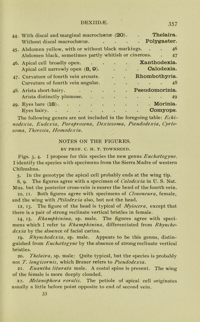 44- 45- With discal and marginal macrochaetae (20) Without discal macrochaetae. Thelaira. Polygaster. Abdomen yellow, with or without black markings. Abdomen black, sometimes partly whitish or cinerous. 46 47 Xanthodexia. Calodexia. Rhombothyria. . . . . . 4^ Pseudomorinia. • • • • • 49 . Morinia. Eyes liairv Corny ops. The following genera are not included in the foregoing table: Echi- nodexia, Eudexia, Paraprosena, Dexiosoma, Pseudodexia, Cyrto- soma, Theresia, Homodexia. 46. Apical cell broadly open. Apical cell narrowly open (8, 9). 47. Curvature of fourth vein arcuate. Curvature of fourth vein angular. 48. Arista short-hairy. Arista distinctly plumose. 49. Eyes bare (18). NOTES ON THE FIGURES. BY PROF. C. H. T. TOWNSEND. Figs. 3, 4. I propose for this species the new genus Euchcetogyne. I identify the species with specimens from the Sierra Madre of western Chihuahua. 5. In the genotype the apical cell probably ends at the wing tip. 8, 9. The figures agree with a specimen of Calodexia in U. S. Nat. Mus. but the posterior cross-vein is nearer the bend of the fourth vein. 10, 11. Both figures agree with specimens of Cltnoneura, female, and the wing with Ptilodexia also, but not the head. 12, 13. The figure of the head is typical of Myiocera, except that there is a pair of strong reclinate vertical bristles in female. 14, 15. Rhamphinina, sp. male. The figures agree with speci- mens which I refer to Rhamphinina, differentiated from Rhyncho- dexia by the absence of facial carina. 19. Rhynchodexia, sp. male. Appears to be this genus, distin- guished from Euchcetogyne by the absence of strong reclinate vertical bristles. 20. Thelaira, sp. male: Quite typical, but the species is probably not T. longicornis, which Brauer refers to Pseudodexia. 21. Euantha liturata male. A costal spine is present. The wing of the female is more deeply clouded. 22. Melanophora roralis. The petiole of apical cell originates usually a little before point opposite to end of second vein. 33