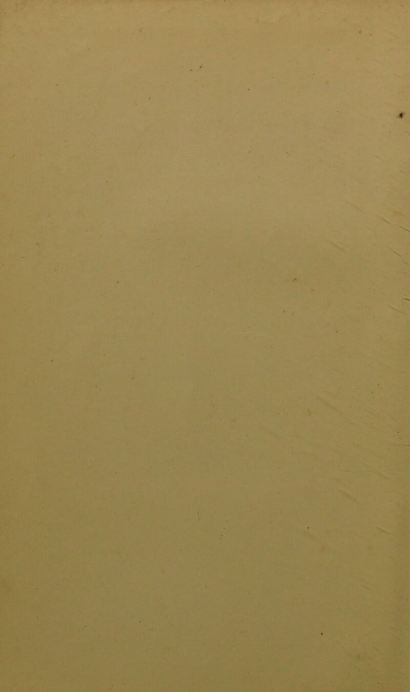 4 4 I V 4 -1 i ■ •r »