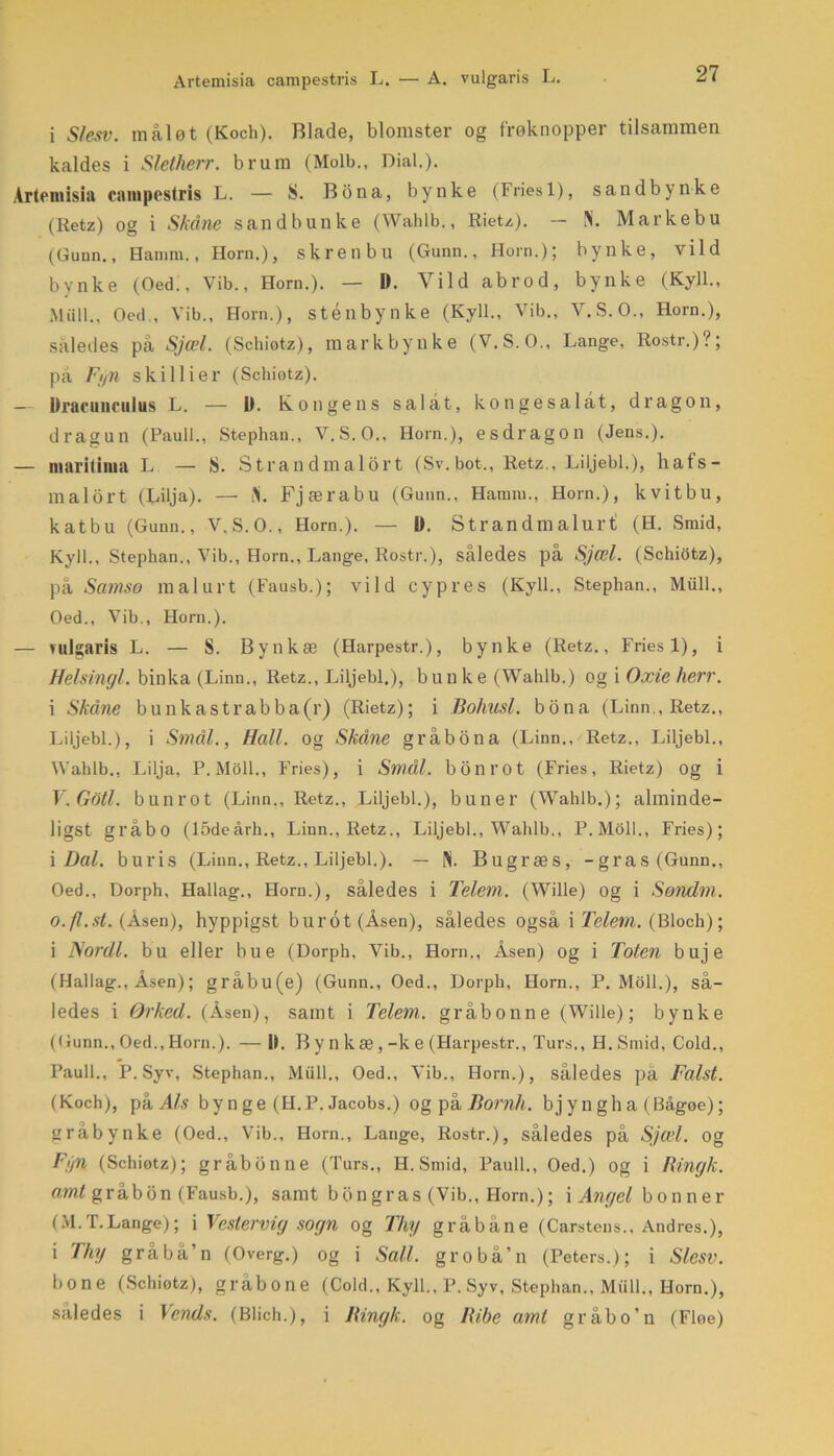 Artemisia campestris L. — A. vulgaris L. i Slesv. raaløt (Koch). Blade, blomster og frøknopper tilsammen kaldes i Sletlierr. brum (Molb., Dial.). Artemisia campestris L. — S. Bbna, bynke (Friesl), sandbynke (Retz) og i Skåne sandbunke (Wahlb., Rietz). — N. Markebu (Gunn., Hanim., Horn.), skren bu (Gunn., Horn.); bynke, vild bynke (Oed., Vib., Horn.). — D. Vild abrod, bynke (Kyll., Miill., Oed., Vib., Horn.), sténbynke (Kyll., Vib., V.S.O., Horn.), således på Sjæl. (Schiotz), markbynke (V.S.O., Lange, Rostr.)?; på F/yW skil lier (Schiotz). — Dracunculus L. — U. Kongens salat, konge salat, dragon, dragun (Pauli., Stephan., V.S.O., Horn.), esdragon (Jens.). — maritima L — S. Strandmalort (Sv.bot., Retz., Liljebi.), hafs- malort (Lilja). — Y Fjærabu (Gunn., Hamm., Horn.), kvitbu, katbu (Gunn., V.S.O., Horn.). — I). Strandmalurt (H. Smid, Kyll., Stephan., Vib., Horn., Lange, Rostr.), således på Sjæl. (Schiotz), på Samsø malurt (Fausb.); vild cypres (Kyll., Stephan., Miill., Oed., Vib., Horn.). — vulgaris L. — S. Bynkæ (Harpestr.), bynke (Retz., Friesl), i Helsingl. binka (Linn., Retz., Liljebi.), bunke (Wahlb.) og i Oxieherr. i Skåne bunkastrabba(r) (Rietz); i Bohusl. bona (Linn., Retz., Liljebi.), i Smål., Hall. og Skåne gråbona (Linn., Retz., Liljebi., Wahlb., Lilja, P.Moll., Fries), i Smål. bonrot (Fries, Rietz) og i V. Goti. bunrot (Linn., Retz., Liljebi.), buner (Wahlb.); alminde- ligst gl'åbo (lådeårh., Linn., Retz., Liljebi., Wahlb., P.Moll., Fries); i Dal. buris (Linn., Retz., Liljebi.). — iY Bugræs, -gras(Gunn., Oed., Dorph, Hallag., Horn.), således i Telem. (Wille) og i Søndm. o.fl.st. (Åsen), hyppigst burot (Åsen), således også i Telem. (Bloch); i Nordi. bu eller bue (Dorph, Vib., Horn., Asen) og i Toten buje (Hallag., Åsen); gråbu(e) (Gunn., Oed., Dorph, Horn., P.Moll.), så- ledes i Ørked. (Åsen), samt i Telem. gråbonne (Wille); bynke (Gunn., Oed., Horn.). — 11. By nkæ, -k e (Harpestr., Turs., H.Smid, Cold., Pauli., P. Syv, Stephan., Miill., Oed., Vib., Horn.), således på Falst. (Koch), på Als bynge (H.P. Jacobs.) og på Bornh. bjyngha (Bågoe); gråbynke (Oed., Vib., Horn., Lange, Rostr.), således på Sjæl. og Fi'/n (Schiotz); gråbonne (Turs., H.Smid, Pauli., Oed.) og i Ringk. amt gråbbn (Fausb.), samt b o n gr as (Vib., Horn.); i Angel bonner (M.T.Lange); i Vestervig sogn og Thy gråbåne (Carstens., Andres.), i Thy gråbå’n (Overg.) og i Sall. grobå’n (Peters.); i Slesv. bone (Schiotz), gråbone (Cold., Kyll., P. Syv, Stephan., Miill., Horn.), således i Vends. (Blich.), i Ringk. og Ribe amt gråbo’n (Floe)