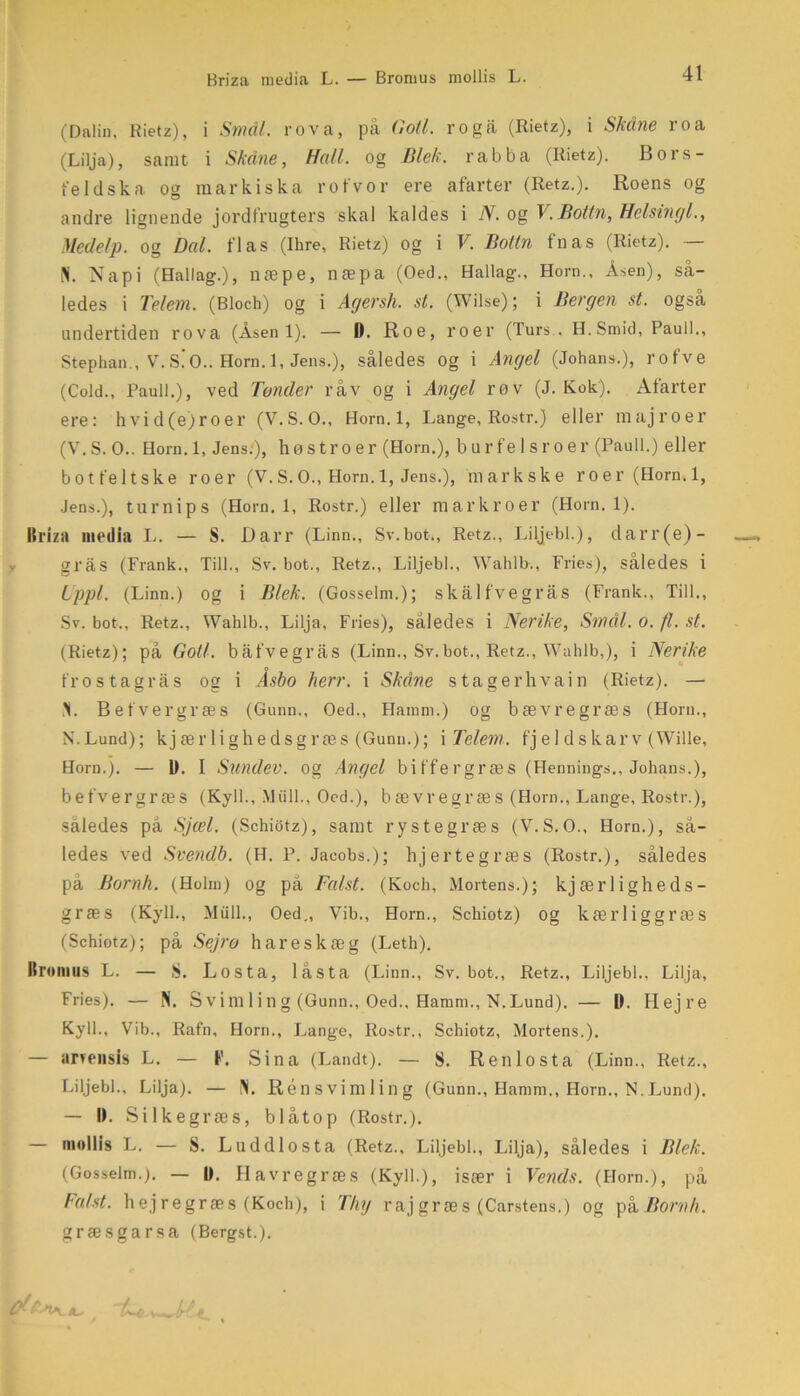 Briza media L. — Bromus mollis L. (Dalin, Rietz), i Smdl. rova, på Gotl. ro gå (Rietz), i Skelne roa (Lilja), samt i Skåne, Hall. og Blek. rabba (Rietz). Bors- feldska og markiska rof vor ere afarter (Retz.). Roens og andre lignende jordfrugters skal kaldes i N. og 1 .Bolin, Helsinki., Mede/p. og Dal. flas (Ihre, Rietz) og i V. Boltn fnas (Rietz). — Pi. Napi (Hallag.), næpe, næpa (Oed., Hallag., Horn., Åsen), så- ledes i Tel em. (Bloch) og i Agersli. st. (Wilse); i Bergen st. også undertiden rova (Åsen 1). — D. Roe, roer (Turs., H. Smid, Pauli., Stephan., V.S.’O.. Horn. 1, Jens.), således og i Angel (Johans.), rofve (Cold., Pauli.), ved Tønder råv og i Angel røv (J. Kok). Afarter ere: hvid(e)roer (V.S.O., Horn.l, Lange, Rostr.) eller maj roer (V. S. O.. Horn.l, Jens:), høstro er (Horn.), b u r f e 1 s r o e r (Pauli.) eller bot feltske roer (V. S. O., Horn. 1, Jens.), mark ske roer (Horn.l, Jens.), turnips (Horn.l, Rostr.) eller markroer (Horn.l). Itriza media L. — S. Darr (Linn., Sv.bot., Retz., Liljebi.), darr(e)- grås (Frank., Till., Sv. bot., Retz., Liljebi., Wahlb., Fries), således i ippl. (Linn.) og i Blek. (Gosselm.); skålfvegrås (Frank., Till., Sv. bot., Retz., Wahlb., Lilja, Fries), således i Nerike, Sinål. o. fl. st. (Rietz); på Gotl. båfvegrås (Linn., Sv.bot., Retz., Wahlb,), i Nerike fro s tagras og i Asbo herr. i Skåne stage rhvain (Rietz). — PI. Befvergræs (Gunn., Oed., Hamm.) og bævregræs (Horn., N.Lund); k j æ r 1 i g h e d s g r æ s (Gunn.); i Telein. fj el d skar v (Wille, Horn.). — 1). I Sundev. og Angel biffergræs (Hennings., Johans.), befvergræs (Kyll., Miill., Oed.), bævregræs (Horn., Lange, Rostr.), således på Sjæl. (Schiotz), samt rystegræs (V.S.O., Horn.), så- ledes ved Svendb. (H. P. Jacobs.); hjertegræs (Rostr.), således på Bornh. (Holm) og på Falst. (Koch, Mortens.); kj ær ligheds- græs (Kyll., Miill., Oed., Vib., Horn., Schiotz) og kærliggræs (Schiotz); på Sejro hareskæg (Leth). Ilromus L. — S. Losta, låsta (Linn., Sv.bot., Retz., Liljebi., Lilja, Fries). — Pi. S v i m 1 i n g (Gunn., Oed., Hamm., N. Lund), — I). Hejre Kyll., Vib., Rafn, Horn., Lange, Rostr., Schiotz, Mortens.). — arrensis L. — P. Sina (Landt). — S. Ren losta (Linn., Retz., Liljebi., Lilja). — Pi. Rénsvimling (Gunn., Hamm., Horn., N.Lund). — IL Silkegræs, blåtop (Rostr.). — mollis L. — S. Luddlosta (Retz., Liljebi., Lilja), således i Blek. (Gosselm.). — I). Havregræs (Kyll.), især i Vends. (Horn.), på Falst. h ej r egræ s (Koch), i Thy rajgræs (Carstens.) og på Bornh. græsgarsa (Bergst.).