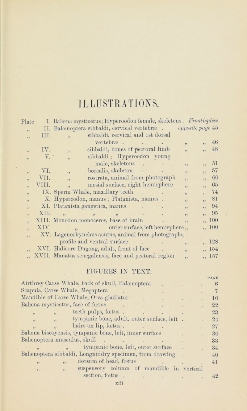 ILLUSTRATIONS. Plate I. II. III. IV. V. VI. VII. VIII. IX. X. XL XII. XIII. XIV. XV. P>alaeiia mysticetus; Hyperoodon female, skeletons. Frontiapiece Balpenoptera sibbaldi, cervical vertebme . opposite page 45 „ sibbaldi, cervical and 1st dorsal vertebne . . . „ ,,46 ,, sibbaldi, bones of pectoral limb ,, ,, 48 ,, sibbaldi ; Hyperoodon young male, skeletons ,, borealis, skeleton rostrata, animal from pliotograpli mesial surface, right hemisphere Sperm Whale, maxillary teeth Hyperoodon, manus ; Platanista, manns . Platanista gangetica, manus 5^ 5? 59 99 Monodon monoceros, base of brain . „ ,, outer surface, left hemisphere,, Lagenorhynchus acutus, animal from photographs, profile and ventral surface . . „ XVI. Halicore Dugong, adult, front of face . „ XVII. Manatus Senegalensis, face and pectoral region ,, 99 51 57 60 65 74 81 94 95 100 100 128 154 157 FIGURES IN TEXT. Airthrey Carse AVhale, back of skull, Bahenoptera ScajDula, Carse Whale, Megaptera . . . . . Mandible of Carse AVhale, Orca gladiator . . . . Balsena mysticetus, face of fcetus . . . . . ,, „ teeth pulps, fmtus . . . . . „ „ tympanic bone, adult, outer surface, left . ,, „ hairs on lip, fcetus . . . . . Balaena biscayensis, tymi)anic bone, left, inner surface Bal^enoptera musculus, skull ..... „ „ tympanic bone, left, outer surface Bala?noptera sibbaldi, Longniddry specimen, from drawing . „ ,, dorsum of head, foetus . . . . ,, ,, suspensory column of mandible in vertical section, foetus ... PAGE 6 i 10 22 23 24 27 30 33 34 40 41 42