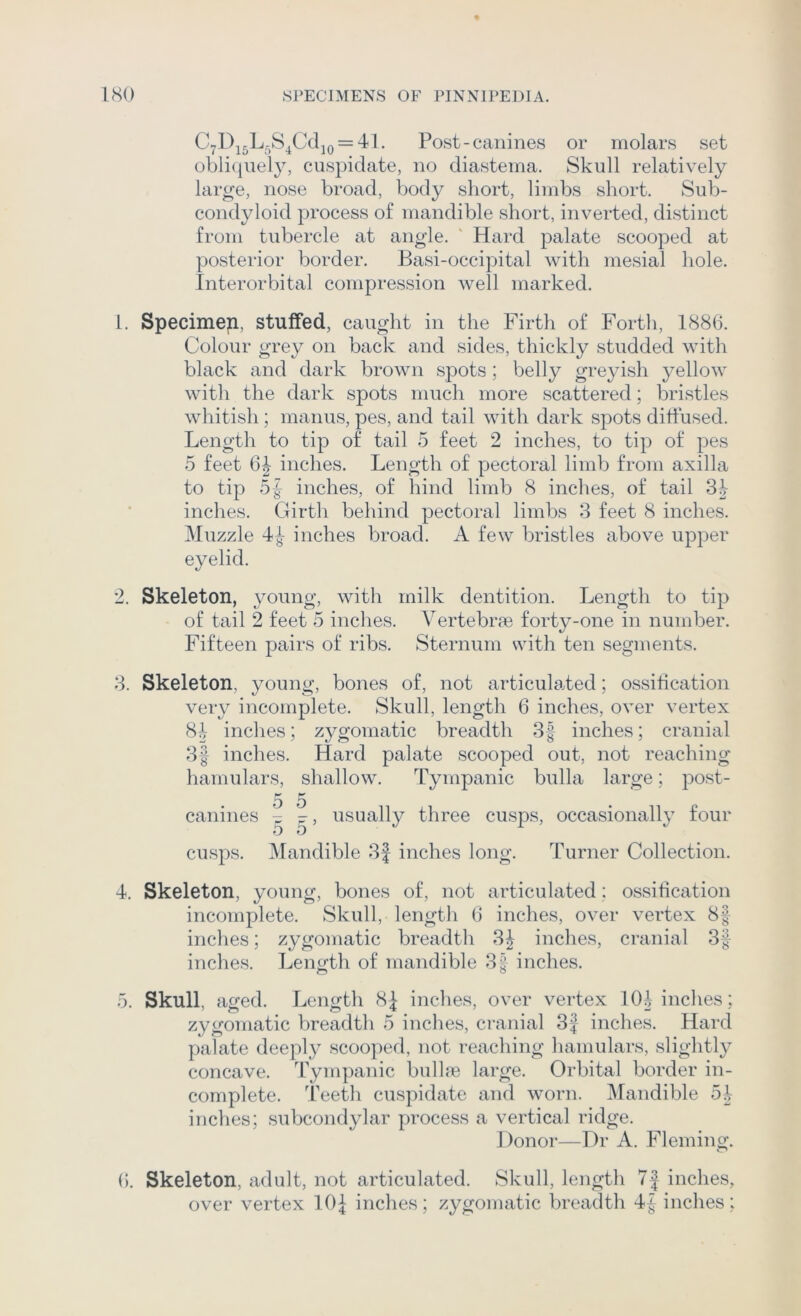 C7Di5Lr,8^CdjQ = 41. Post-canines or molars set obli(j[uely, cuspidate, no diastema. Skull relatively large, nose broad, body short, limbs short. Sub- condyloid process of mandible short, inverted, distinct from tubercle at angle. ' Hard palate scooped at posterior border. Basi-occipital with mesial hole. Interorbital compression well marked. 1. Specimen, stulfed, caught in the Firth of Forth, 1886. Colour grey on back and sides, thickly studded with black and dark brown spots; belly greyish yellow with the dark spots much more scattered; bristles whitish ; maims, pes, and tail with dark spots dittused. Length to tip of tail 5 feet 2 inches, to tip of pes 5 feet inches. Length of pectoral limb from axilla to tip 5f inches, of hind limb 8 inches, of tail 34 inches. Girth behind pectoral limbs 3 feet 8 inches. Muzzle 4^ inches broad. A few bristles above upper eyelid. 2. Skeleton, young, with milk dentition. Length to tip of tail 2 feet 5 inches. Vertebrae forty-one in number. Fifteen pairs of ribs. Sternum with ten segments. 3. Skeleton, young, bones of, not articulated; ossification very incomplete. Skull, length 6 inches, over vertex 84 inches; zygomatic breadth 3f inches; cranial 3| inches. Hard palate scooped out, not reaching hamulars, shallow. Tympanic bulla large; post- 5 5 canines h ' ^ usually three cusps, occasional!} four 0 0 cusps. Mandible 3f inches long. Turner Collection. 4. Skeleton, young, bones of, not articulated; ossification incomplete. Skull, lengtli 6 inches, over vertex 8| inches; zygomatic breadth 3J inches, cranial 3f inches. Length of mandible 3f inches. 0. Skull, aged. Length 8J inches, over vertex 104 inches; zygomatic breadth 5 inches, cranial 3J inches. Hard palate deeply scooped, not reaching hamulars, slightly concave. Tympanic bullne large. Orbital border in- complete. Teeth cuspidate and worn. Mandible 54 inches; subcondylar process a vertical ridge. Donor—Dr A. Fleming. (). Skeleton, adult, not articulated. Skull, length 7J inches, over vertex 10^ inches; zygomatic breadth 4J inches;