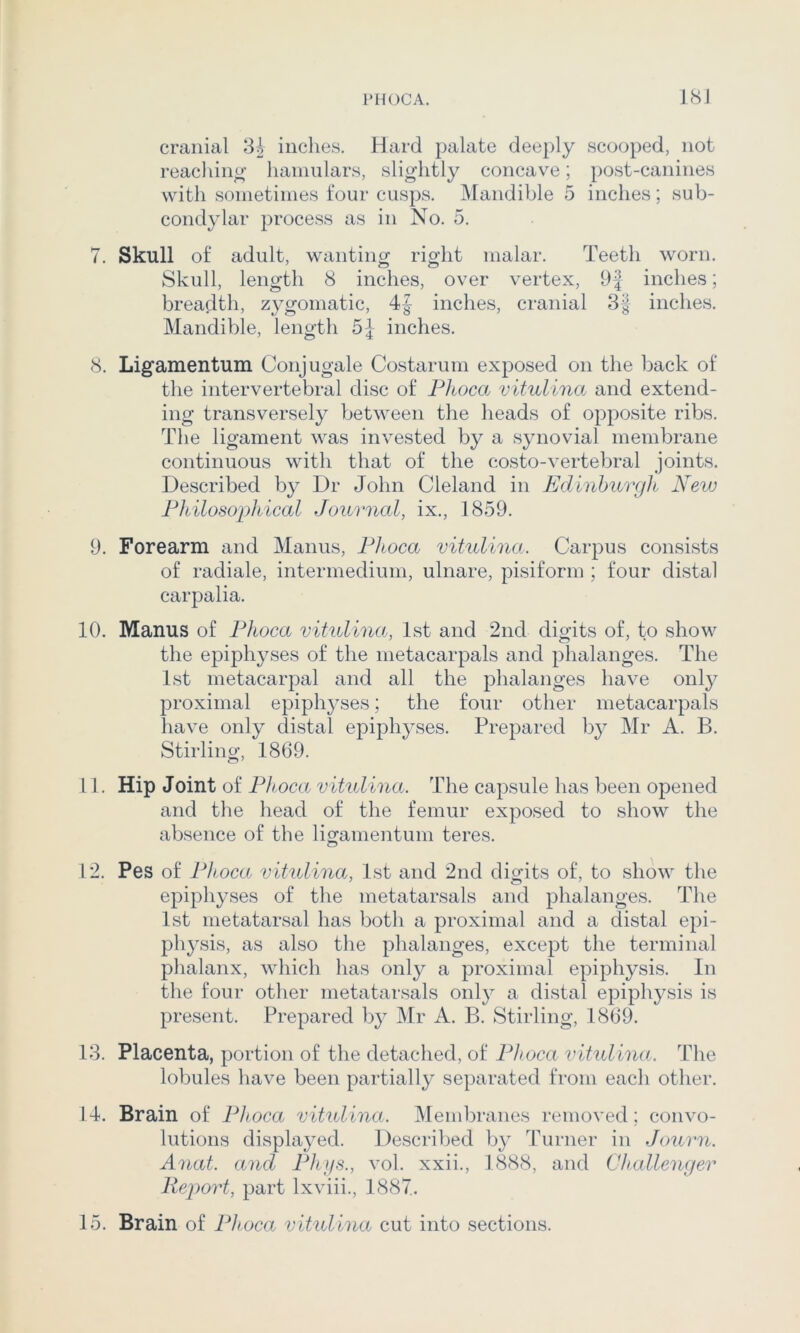 1*H()CA. I8J cranial 83 inches. Hard palate deeply scooped, not read lino- hainnlars, slightly concave; post-canines with soinetiines four cusps. Mandible 5 inches; sub- condylar process as in No. 5. 7. Skull of adult, wanting right malar. Teeth worn. Skull, length 8 inches, over vertex, 9| inches; breadth, zygomatic, 4J inches, cranial inches. Mandible, length 5} inches. 8. Ligamentum Conjugale Costarum exposed on the back of the intervertebral disc of Fhoca vitulina and extend- ing transversely between the heads of opposite ribs. The ligament was invested by a synovial membrane continuous with that of the costo-vertebral joints. Described by Dr John Cleland in Edinburgh New Pliilosophical Jouvncd, ix., 1859. 9. Forearm and Manus, Fhoca vitulina. Carpus consists of radiale, intermedium, ulnare, pisiform ; four distal carpalia. 10. Manus of Fhoca vitulina, 1st and 2nd digits of, to show the epiphyses of the metacarpals and phalanges. The 1st metacarpal and all the phalanges have only proximal epiphj^ses; the four other metacarpals have only distal epiphyses. Prepared by Mr A. B. Stirling, 1869. 11. Hip Joint of Fhoca vitulina. The capsule has been opened and tlie head of the femur exposed to show the absence of the ligamentum teres. o 12. Pes of Ftioca vitulina, 1st and 2nd dio-its of, to show the epiphyses of the metatarsals and phalanges. The 1st metatarsal has both a proximal and a distal epi- physis, as also the phalanges, except the terminal phalanx, which lias only a proximal epiphysis. In the four otlier metatarsals only a distal epiphysis is present. Prepared b}^ Mr A. B. Stirling, 1869. 13. Placenta, portion of the detached, of Fhoca vitulina. The lobules have been partially separated from each otlier. 14. Brain of Fhoca vitulina. IMembranes removed ; convo- lutions displayed. Described by Turner in Journ. Anat. and Fhi/s., vol. xxii., 1888, and Challenger Report, part Ixviii., 1887. 15. Brain of Fhoca. vitulina cut into sections.
