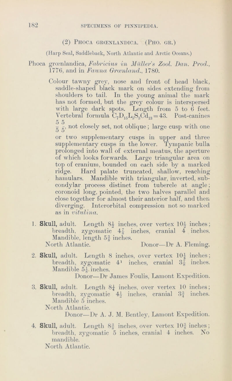 (2) Phoca gikenlandica. (Pho. gr.) (Harp Seal, Saddleback, Nortli Atlantic and Arctic Oceanf^,) Phoca groenlandica, Fahrlcius in Muller s Zool. Dan. Prod., 1776, and in Fauna Graenland., 1780. Colour tawny grey, nose and front of head black, saddle-shaped black mark on sides extending from shoulders to tail. In the young animal the mark has not formed, but the grey colour is interspersed with large dark spots. Length from 5 to 6 feet. Vertebral formula C7Dj5L5S3Cd^3 = 48. Post-canines o D -p not closely set, not oblique; large cusp with one D 0 or two supplementary cusps in upper and three supplementary cusps in the lower. Tympanic bulla prolonged into wall of external meatus, the aperture of which looks forwards. Large triangular area on top of cranium, bounded on each side by a marked ridge. Hard palate truncated, shallow, reaching hamulars. Mandible with triangular, inverted, sub- condylar process distinct from tubercle at angle; coronoid long, pointed, the two halves parallel and close together for almost their anterior half, and then diverging. Interorbital compression not so marked as in vihdina. 1. Skull, adult. Length inches, over vertex 104 inches ; breadth, zygomatic 4| inches, cranial 4 inches. Mandible, length 5| inches. North Atlantic. Donor—Dr A. Fleming. 2. Skull, adult. Length 8 inches, over vertex 10J inches; breadth, zygomatic 4^ inches, cranial 3J inches. Mandible 5inches. Donor—Dr James Foulis, Lamont Expedition. 8. Skull, adult. Length 8^ inches, over vertex 10 inches; breadth, zygomatic 44 inches, cranial 8| inches. Mandible 5 inches. North Atlantic. Donor—Dr A. J. M. Bentley, Lamont Expedition. 4. Skull, adult. Length 8J inches, over vertex lOJ inches; breadth, zygomatic 5 inches, cranial 4 inches. No mandible. North Atlantic.