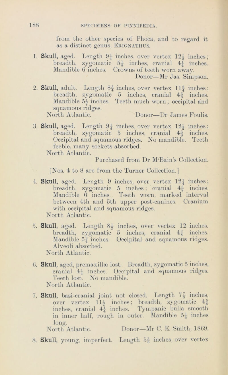 from the other species of Phoca, and to regard it as a distinct genus, Erignathus. L. Skull, aged. Length 9| indies, over vertex 12.1 inches; breadth, zygomatic inches, cranial inches. Mandible 6 inches. Crowns of teeth worn away. Donor—]Mr Jas. Simpson. 2. Skull, adult. Length 8| inches, over vertex Ilf inches; breadth, zygomatic 5 inches, cranial 4| inches. ^Mandible 5^ indies. Teeth much worn; occipital and squamous ridges. North Atlantic. Donor—Dr Janies Foulis. 3. Skull, aged. Length 9-J inches, over vertex 124 inches; breadth, zygomatic 5 inches, cranial 4| inches. Occipital and squamous ridges. No mandible. Teeth feeble, many sockets absorbed. North Atlantic. Purchased from Dr M‘Bain’s Collection. [Nos. 4 to 8 are from the Turner Collection.] 4. Skull, aged. Length 9 inches, over vertex 12] inches ; breadth, zygomatic 5 inches; cranial 4| inches. Mandible b inches. Teeth worn, marked interval between 4th and 5th upper post-canines. Cranium with occipital and squamous ridges. North Atlantic. 5. Skull, aged. Lengtli 84 inches, over vertex 12 indies. breadth, zygomatic 5 inches, cranial 4| indies. Mandible 5| inches. Occipital and squamous ridges. Alveoli absorbed. North Atlantic. b. Skull, aged, preniaxillm lost. Breadtli, zygomatic 5 inches, cranial 4J inches. Occipital and squamous ridges. Teeth lost. No mandible. Nortli Atlantic. 7. Skull, basi-cranial joint not closed. Length inches, over vertex 114 inches; breadth, zygomatic 4| inches, cranial 4| inches. 4'yipp^^^^^ bulla smooth in inner hall, rougli in outer. Mandible 5| inches long. North Atlantic. Donor—IMr C. E. Smith, 18b9. 8. Skull, young, imperfect. Length oj inches, over vertex