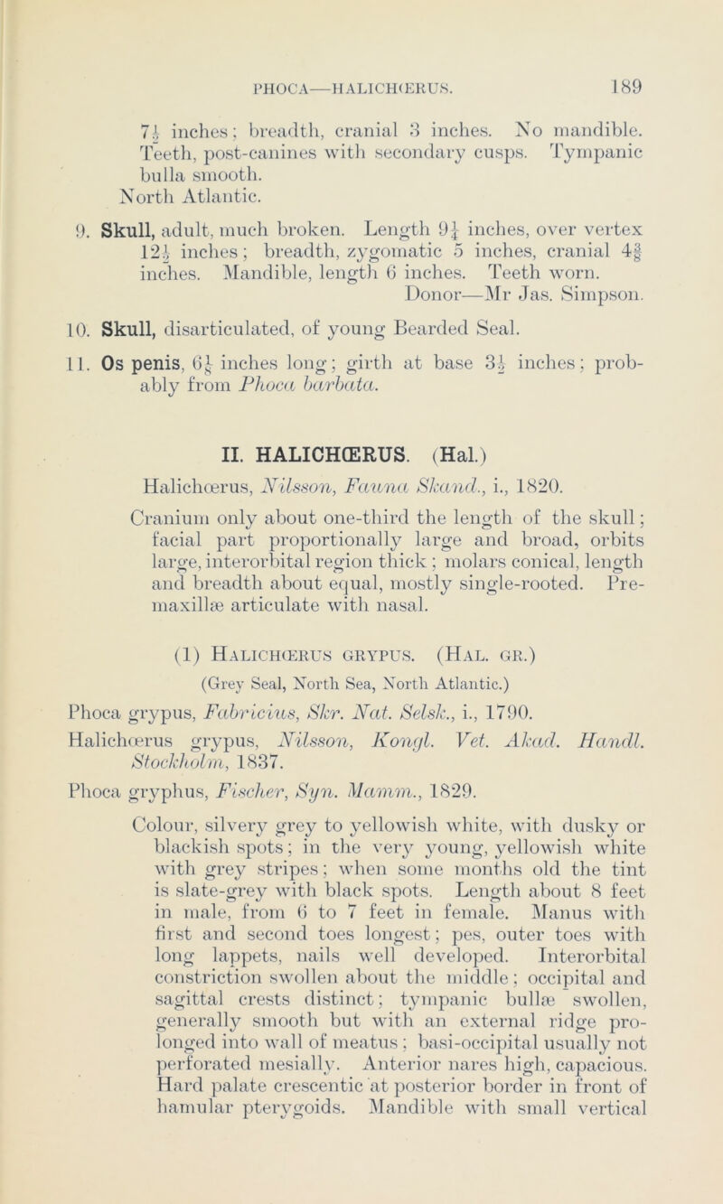 7.', inches; breadth, cranial 8 inches. No mandible. Teeth, post-canines with secondary cusps. Tympanic bulla smooth. North Atlantic. 9. Skull, adult, much broken. Length 9|- inches, over vertex V2h inches; breadth, zygomatic 5 inches, cranial 4| inches. Mandible, length f3 inches. Teeth worn. Donor—^Ir Jas. Simpson. 10. Skull, disarticulated, of young Bearded Seal. 11. Os penis, GJ inches long; girth at base inches; prob- ably from Fhoca barhata. II. HALICHGERUS. (Hal.) Halichoerus, Nilsson, Fcmna Skand., i., 1820. Cranium only about one-third the length of the skull; facial part proportionally large and broad, orbits large, interorbital region thick ; molars conical, length and breadth about equal, mostly single-rooted. Bre- maxilla3 articulate with nasal. (1) Halich(erus grypus. (Hal. gr.) (Grey Seal, North Sea, North Atlantic.) Phoca grypus, Fabricius, Skr. Nat. Selsk., i., 1790. Halichcerus grypus, Nilsson, Kongl. Vet. Akad. Handl. Stockholm, 1837. Phoca gryphus, Fischer, Fyn. Mamm., 1829. Colour, silvery grey to yellowish white, witli dusky or blackish spots; in the veiy young, yellowish white with grey stripes; when some months old the tint is slate-grey with black spots. Length about 8 feet in male, from G to 7 feet in female. Manus with first and second toes longest; pes, outer toes with long lappets, nails well developed. Interorbital constriction swollen about the middle; occipital and sagittal crests distinct; tympanic bullne swollen, generally smooth but with an external ridge pro- longed into wall of meatus ; basi-occipital usually not perforated mesially. Anterior nares high, capacious. Hard palate crescentic at posterior border in front of hamular pterygoids. IMandible with small vertical