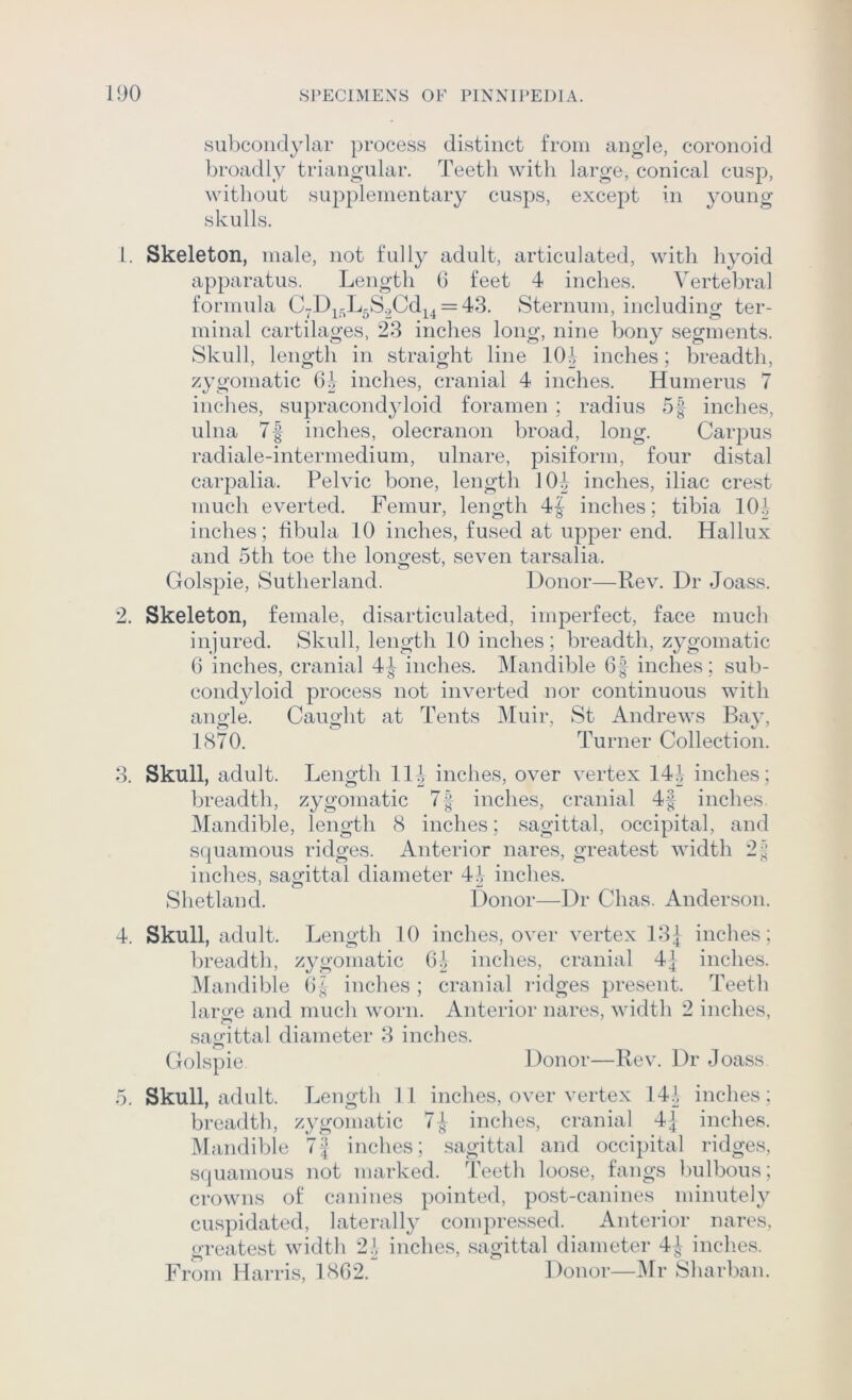 subcoiidylar process distinct from angle, coronoid liroadly triangular. Teeth with large, conical cusp, without supplementary cusps, except in young skulls. 1. Skeleton, male, not fully adult, articulated, with hyoid apparatus. Length 6 feet 4 inches. Vertebral formula C^D^r^LgS.jCd^^ = 43. Sternum, including ter- minal cartilages, 23 inches long, nine bony segments. Skull, length in straight line 101 inches; breadth, zygomatic 61 inches, cranial 4 inches. Humerus 7 inches, supracondjdoid foramen; radius 5| inches, ulna 7| inches, olecranon broad, long. Carpus radiale-intermedium, ulnare, pisiform, four distal carpalia. Pelvic bone, length 101 inches, iliac cre.st much everted. Femur, length 4| inches; tibia 101 inches; fibula 10 inches, fused at upper end. Hallux and 5th toe the longest, seven tarsalia. Golspie, Sutherland. Donor—Rev. Dr Joass. 2. Skeleton, female, disarticulated, imperfect, face much injured. Skull, length 10 inches; breadth, zygomatic 6 inches, cranial 4^ inches. Mandible 6|- inches; sub- condyloid process not inverted nor continuous with angle. Caught at Tents Muir, St Andrews Bay, 1870. Turner Collection. 3. Skull, adult. Length 11| inches, over vertex 141 inches; breadth, zygomatic 7| inches, cranial 4| inches. Mandible, length 8 inches; sagittal, occipital, and squamous ridges. Anterior nares, greatest width 2 J inches, sagittal diameter 41 inches. Slietland. Donor—Dr Chas. Anderson. 4. Skull, adult. Length 10 inches, over vertex 131 inches; breadtli, zygomatic 61 indies, cranial 4] inches. Mandilde 6^ inches ; cranial ridges present. Teeth large and much worn. Anterior nares, width 2 inches, sagittal diameter 3 inches. Golspie Donor—Rev. Dr Joass 5. Skull, adult. Length 11 inches, over vertex 141 inches; breadth, zygomatic 7-1 inches, cranial 4| inches. Mandible 7'I inches; .sagittal and occipital ridges, squamous not marked. Teeth loose, fangs bulbous; crowns of canines pointed, post-canines minuteh^ cuspidated, laterally coiupressed. Anterior nares, greatest width 21 inches, sagittal diameter 4^ inches. From Harris, 1862. Donor—IMr Sharban.