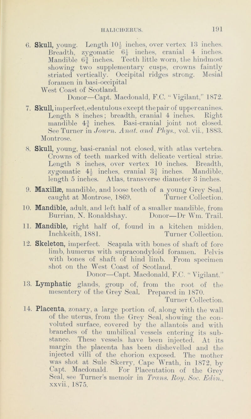 (). Skull, young. Length 10^ indies, over vertex 13 inches. Breadth, zygomatic inches, cranial 4 inches. Mandible (i| indies. Teetli little worn, the hindmost showing two supplementary cusps, crowns faintly striated vertically. Occipital ridges strong. IMesial foramen in basi-occipital West Coast of Scotland. Donor—Capt. Macdonald, F.C. ‘‘ Vigilant,” 1872. 7. Skull, imperfect, edentulous except the pair of upper canines. Length 8 inches; breadth, cranial 4 inches. Right mandible 4f inches. Basi-cranial joint not closed. See Turner in Journ. Anat. and Phys., vol. vii., 1888. Montrose. 8. Skull, young, basi-cranial not closed, with atlas vertebra. Crowns of teeth marked with delicate vertical strim. Length 8 inches, over vertex 10 inches. Breadth, zygomatic 44 inches, cranial 3| inches. Mandible, length 5 inches. Atlas, transverse diameter 3 inches. 9. Maxillae, mandible, and loose teeth of a }^oung Grey Seal, caught at Montrose, 1869. Turner Collection. 10. Mandible, adult, and left half of a smaller mandible, from Burrian, N. Ronaldshay. Donor—Dr Win. Trail. 11. Mandible, right half of, found in a kitchen midden, Inchkeith, 1881. Turner Collection. 12. Skeleton, imperfect. Scapula with bones of shaft of fore limb, humerus with supracondyloid foramen. Pelvis with bones of shaft of hind limb. From specimen shot on the West Coast of Scotland. Donor—Capt. Macdonald, F.C, “Vigilant.” 13. Lymphatic glands, group of, from the root of tlie mesentery of the Grey Seal. Prepared in 1870. Turner Collection. 14. Placenta, zonary, a large portion of, along with the wall of the uterus, from the Grey Seal, showiim' the con- voluted surface, covered by the allantois and witli branches of tlie und^ilical vessels entering its sub- stance. These vessels have been injected. At its margin the placenta has been disllevelled and tlie injected villi of the chorion exposed. The mother was shot at Side Skeriy, Cape Wrath, in 1872, by Capt. IMacdonald. For Placentation of the Grey Seal, see Turner’s memoir in Trans. Roy. Soc. TJdin., xxvii., 1875.