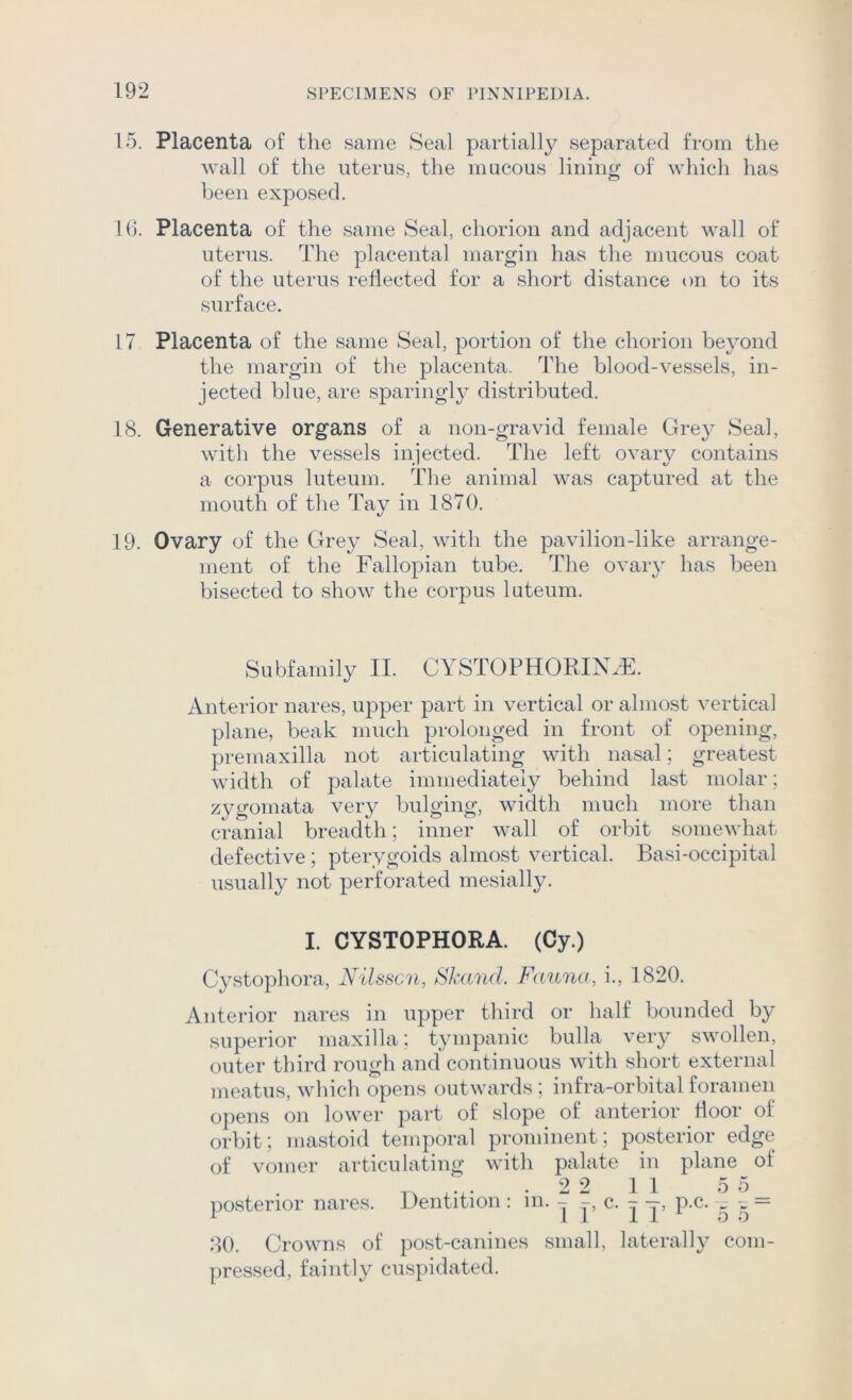 15. Placenta of the same Seal partially separated from the wall of the uterus, the mucous lining of which has been exposed. 10. Placenta of the same Seal, chorion and adjacent wall of uterus. The placental margin has the mucous coat of the uterus reflected for a short distance on to its surface. 17 Placenta of the same Seal, portion of the chorion beyond the margin of the placenta. The blood-vessels, in- jected blue, are sparingly distributed. 18. Generative organs of a non-gravid female Grey Seal, with the vessels injected. The left ovary contains a corpus luteum. The animal was captured at the mouth of the Tay in 1870. 19. Ovary of the Grey Seal, with the pavilion-like arrange- ment of the Fallopian tube. The ovary has been bisected to show the corpus luteum. Subfamily II. CYSTOPHORIX..F. Anterior nares, upper part in vertical or almost vertical plane, beak much prolonged in front of opening, premaxilla not articulating with nasal; greatest width of palate immediately behind last molar; zygomata very bulging, width much more than cranial breadth; inner wall of orbit somewhat defective; pterygoids almost vertical. Basi-occipital usually not perforated mesially. I. CYSTOPHORA. (Cy.) Cystophora, Nilsscn, Skand. Fauna, i., 1820. Anterior nares in upper third or half bounded by superior maxilla; tympanic bulla very swollen, outer third rough and continuous with short external meatus, which opens outwards ; infra-orbital foramen opens on lower part of slope of anterior floor of orbit; mastoid temporal prominent; posterior edge of vomer articulating with palate in plane of ,, • 2 2 II 5 5_ posterior nares. Dentition : in. - c. - —, p.c. ~ 80. Crowns of post-canines small, laterally com- pressed, faintly cuspidated.