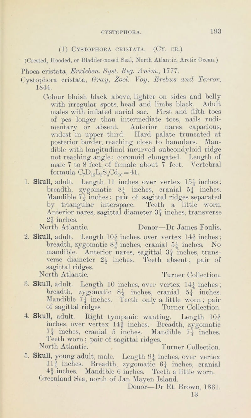 (1) CVSTOPHORA CRISTATA. (Cy. CR.) (Crested, Hooded, or Bladder-nosed Seal, North Atlantic, Arctic Ocean.) Plioca cristata, Erxlehen, Syst. Reg. Anim., 1777. Cystopliora cristata, Gray, Zool. Voy. Erebus and Terror, 1844. Colour bluish black above, lighter on sides and belly with irregular spots, head and limbs black. Adult males with inflated narial sac. First and fifth toes of pes longer than intermediate toes, nails rudi- mentary or absent. Anterior nares capacious, widest in upper third. Hard palate truncated at posterior border, reaching close to hamulars. Man- dible with longitudinal incurved subcondyloid ridge not reaching angle; coronoid elongated. Length of male 7 to 8 feet, of female about 7 feet. Vertebral formula C^D^^L-S^Cd^Q = 41. 1. Skull, adult. Length 11 inches, over vertex 15J inches; breadth, zygomatic 8-|- inches, cranial inches. Mandible 7t inches; pair of sagittal ridges separated by triangular interspace. Teeth a little worn. Anterior nares, sagittal diameter 3f inches, transverse 2| inches. North Atlantic. Donor—Dr James Foulis. 2. Skull, adult. Length lOf inches, over vertex 14| inches; breadth, zygomatic 8-| inches, cranial 5^ inches. No mandible. Anterior nares, sagittal 3f inches, trans- verse diameter 2i inches. Teeth absent; pair of sagittal ridges. North Atlantic. Turner Collection. 3. Skull, adult. Length 10 inches, over vertex 14| inches; breadth, zygomatic 8|^ inches, cranial 5| inches. Mandible 7 } inches. Teeth only a little worn; pair of sagittal ridges Turner Collection. 4. Skull, adult. Right tympanic wanting. Length lOf inches, over vertex 14| inches. Breadth, zygomatic 7| inches, cranial 5 inches. Mandible 7] inches. Teeth worn ; pair of sagittal ridges. North Atlantic. , Turner Collection. 5. Skull, young adult, male. Length 9| inches, over vertex Ilf inches. Breadth, zygomatic 0] inches, cranial 4^ inches. Mandible 6 inches. Teeth a little worn. Greenland Sea, north of Jan Mayen Island. Donor—Dr Rt. Brown, 1861. 13