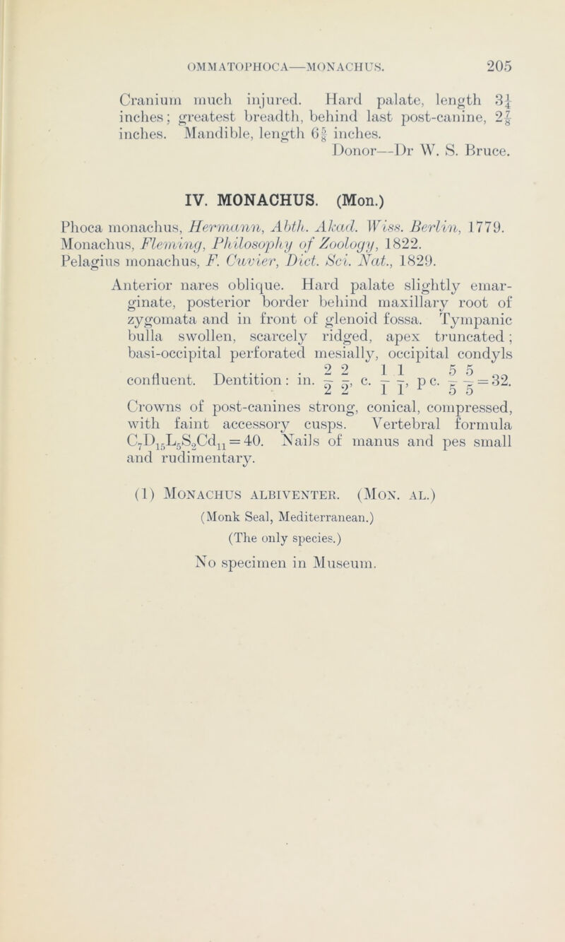 Cranium much injured. Hard palate, length 8| inches; greatest breadth, behind last post-canine, 2| inches. Mandible, length inches. Donor—Dr W. 8. Bruce. IV. MONACHUS. (Mon.) Phoca monachus, Hermann, Ahth. Akad. IPm. Berlin, 1779. Monachus, Fleming, Philosophy of Zoology, 1822. Pelagius monachus, F. Cuvier, Diet. Sci. Hat., 1829. Anterior nares oblique. Hard palate slightly emar- ginate, posterior border behind maxillary root of zygomata and in front of glenoid fossa. Tympanic bulla swollen, scarcely ridged, apex truncated; basi-occipital perforated mesially, occipital condyls conhuent. Dentition: in. ^ c. i, pc. = 2 2’ 1 1’ 5 5 Crowns of post-canines strong, conical, compressed, with faint accessory cusps. Vertebral formula C7D^5L.S.2Cdjj = 40. Nails of manus and pes small and rudimentary. (1) Monachus albiventer. (Mon. al.) (Monk Seal, Mediterranean.) (The only species.) No specimen in Museum.