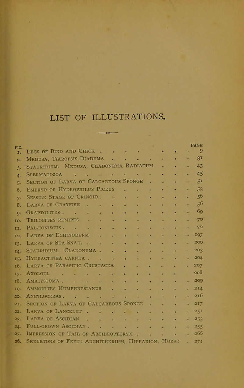 LIST OF ILLUSTRATIONS. r. Legs of Bird and Chick .... . . • 9 z. Medusa, Tiaropsis Diadema 31 5. Stauridium. Medusa, Cladonema Radiatum ... 43 4. Spermatozoa 5. Section of Larva of Calcareous Sponge .... 51 6. Embryo of Hydrophilus Piceus S3 7. Sessile Stage of Crinoid S6 8. Larva of Crayfish 56 9. Graptolites 69 10. Trilobites remipes 7° 11. PaljEoniscus 72 12. Larva of Echinoderm 197 13. Larva of Sea-Snail 200 14. Stauridium. Cladonema 203 15. Hydractinea carnea 204 16. Larva of Parasitic Crustacea 207 17. Axolotl 208 18. Amblystoma 209 19. Ammonites Humpfiresianus 214 20. Ancyloceras 216 si. Section of Larva of Calcareous Sponge .... 217 22. Larva of Lancelet 251 23. Larva of Ascidian 253 24. Full-grown Ascidian 255 25. Impression of Tail of Arch/F.opteryx 266 26. Skeletons of Feet : Anchithekium, I-Iipparion, Horse . 274