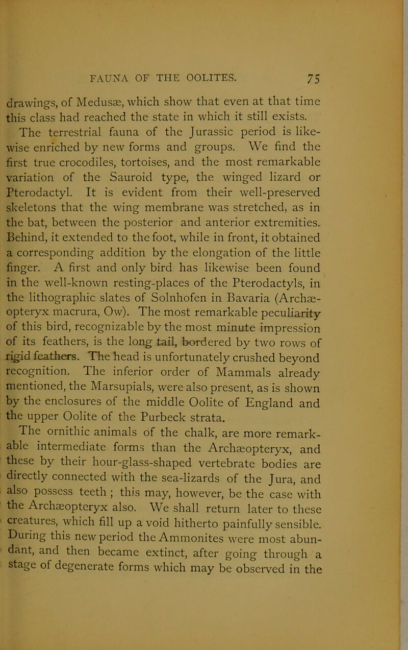 drawings, of Medusas, which show that even at that time this class had reached the state in which it still exists. The terrestrial fauna of the Jurassic period is like- wise enriched by new forms and groups. We find the first true crocodiles, tortoises, and the most remarkable variation of the Sauroid type, the winged lizard or Pterodactyl. It is evident from their well-preserved skeletons that the wing membrane was stretched, as in the bat, between the posterior and anterior extremities. Behind, it extended to the foot, while in front, it obtained a corresponding addition by the elongation of the little finger. A first and only bird has likewise been found in the well-known resting-places of the Pterodactyls, in the lithographic slates of Solnhofen in Bavaria (Archae- opteryx macrura, Ow). The most remarkable peculiarity of this bird, recognizable by the most minute impression of its feathers, is the long tail, bordered by two rows of rigid feathers. The head is unfortunately crushed beyond recognition. The inferior order of Mammals already mentioned, the Marsupials, were also present, as is shown by the enclosures of the middle Oolite of England and the upper Oolite of the Purbeck strata. The ornithic animals of the chalk, are more remark- able intermediate forms than the Archaeopteryx, and these by their hour-glass-shaped vertebrate bodies are directly connected with the sea-lizards of the Jura, and also possess teeth ; this may, however, be the case with the Archaeopteryx also. We shall return later to these cieatures, which fill up avoid hitherto painfully sensible. During this new period the Ammonites were most abun- dant, and then became extinct, after going through a stage of degenerate forms which may be observed in the