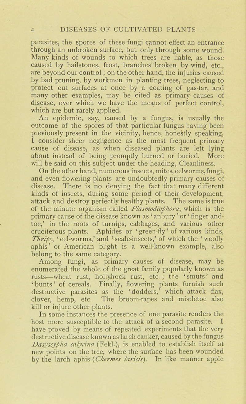 parasites, the spores of these fungi cannot effect an entrance through an unbroken surface, but only through some wound. Many kinds of wounds to which trees are liable, as those caused by hailstones, frost, branches broken by wind, etc., are beyond our control; on the other hand, the injuries caused by bad pruning, by workmen in planting trees, neglecting to protect cut surfaces at once by a coating of gas-tar, and many other examples, may be cited as primary causes of disease, over which we have the means of perfect control, which are but rarely applied. An epidemic, say, caused by a fungus, is usually the outcome of the spores of that particular fungus having been previously present in the vicinity, hence, honestly speaking, I consider sheer negligence as the most frequent primary cause of disease, as when diseased plants are left lying about instead of being promptly burned or buried. More will be said on this subject under the heading, Cleanliness. On the other hand, numerous insects, mites, eelworms, fungi, and even flowering plants are undoubtedly primary causes of disease. There is no denying the fact that many different kinds of insects, during some period of their development, attack and destroy perfectly healthy plants. The same is true of the minute organism called Plasmodiophora, which is the primary cause of the disease known as ‘ anbury ’ or ‘ finger-and- toe,’ in the roots of turnips, cabbages, and various other cruciferous plants. Aphides or ‘ green-fly ’ of various kinds, Thrips, ‘eel-worms,’ and ‘scale-insects,’ of which the ‘woolly aphis ’ or American blight is a well-known example, also belong to the same category. Among fungi, as primary causes of disease, may be enumerated the whole of the great family popularly known as rusts—wheat rust, hollyhock rust, etc.; the ‘smuts’ and ‘ bunts ’ of cereals. Finally, flowering plants furnish such destructive parasites as the ‘dodders,’ which attack flax, clover, hemp, etc. The broom-rapes and mistletoe also kill or injure other plants. In some instances the presence of one parasite renders the host more susceptible to the attack of a second parasite. I have proved by means of repeated experiments that the very destructive disease known as larch canker, caused by the fungus Dasyscypha calycina (Feld.), is enabled to establish itself at new points on the tree, where the surface has been wounded by the larch aphis (Chermes laricis). In like manner apple