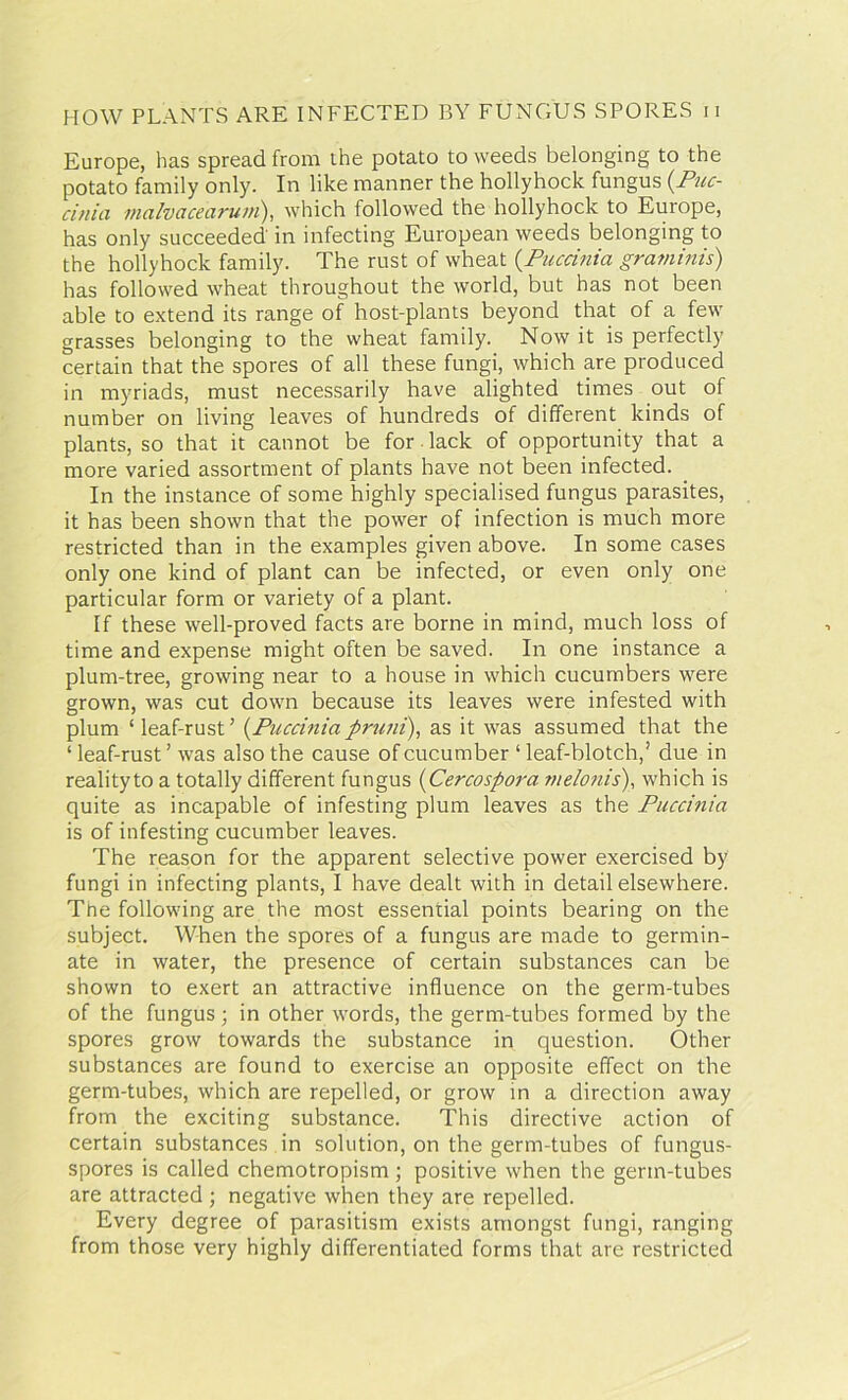 HOW PLANTS ARE INFECTED BY FUNGUS SPORES n Europe, has spread from the potato to weeds belonging to the potato family only. In like manner the hollyhock fungus (Puc- cinia in a Iv ace arum), which followed the hollyhock to Europe, has only succeeded in infecting European weeds belonging to the hollyhock family. The rust of wheat (Puccinia graminis) has followed wheat throughout the world, but has not been able to extend its range of host-plants beyond that of a few grasses belonging to the wheat family. Now it is perfectly certain that the spores of all these fungi, which are produced in myriads, must necessarily have alighted times out of number on living leaves of hundreds of different kinds of plants, so that it cannot be for lack of opportunity that a more varied assortment of plants have not been infected. In the instance of some highly specialised fungus parasites, it has been shown that the power of infection is much more restricted than in the examples given above. In some cases only one kind of plant can be infected, or even only one particular form or variety of a plant. If these well-proved facts are borne in mind, much loss of time and expense might often be saved. In one instance a plum-tree, growing near to a house in which cucumbers were grown, was cut down because its leaves were infested with plum ‘ leaf-rust ’ (Puccinia pruni), as it was assumed that the ‘leaf-rust’ was also the cause of cucumber ‘leaf-blotch,’ due in realityto a totally different fungus (Cercospora melonis), which is quite as incapable of infesting plum leaves as the Puccinia is of infesting cucumber leaves. The reason for the apparent selective power exercised by fungi in infecting plants, I have dealt with in detail elsewhere. The following are the most essential points bearing on the subject. When the spores of a fungus are made to germin- ate in water, the presence of certain substances can be shown to exert an attractive influence on the germ-tubes of the fungus ; in other words, the germ-tubes formed by the spores grow towards the substance in question. Other substances are found to exercise an opposite effect on the germ-tubes, which are repelled, or grow in a direction away from the exciting substance. This directive action of certain substances in solution, on the germ-tubes of fungus- spores is called chemotropism ; positive when the germ-tubes are attracted ; negative when they are repelled. Every degree of parasitism exists amongst fungi, ranging from those very highly differentiated forms that are restricted