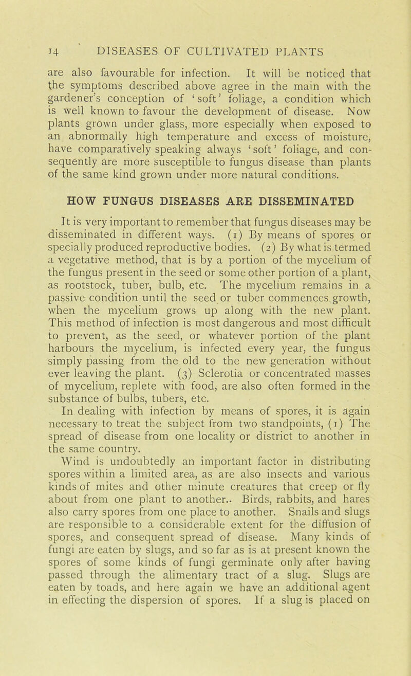 are also favourable for infection. It will be noticed that the symptoms described above agree in the main with the gardener’s conception of ‘soft’ foliage, a condition which is well known to favour the development of disease. Now plants grown under glass, more especially when exposed to an abnormally high temperature and excess of moisture, have comparatively speaking always ‘soft’ foliage, and con- sequently are more susceptible to fungus disease than plants of the same kind grown under more natural conditions. HOW FUNGUS DISEASES ARE DISSEMINATED It is very important to remember that fungus diseases may be disseminated in different ways, (i) By means of spores or specially produced reproductive bodies. (2) By what is termed a vegetative method, that is by a portion of the mycelium of the fungus present in the seed or some other portion of a plant, as rootstock, tuber, bulb, etc. The mycelium remains in a passive condition until the seed or tuber commences growth, when the mycelium grows up along with the new plant. This method of infection is most dangerous and most difficult to prevent, as the seed, or whatever portion of the plant harbours the mycelium, is infected every year, the fungus simply passing from the old to the new generation without ever leaving the plant. (3) Sclerotia or concentrated masses of mycelium, replete with food, are also often formed in the substance of bulbs, tubers, etc. In dealing with infection by means of spores, it is again necessary to treat the subject from two standpoints, (1) The spread of disease from one locality or district to another in the same country. Wind is undoubtedly an important factor in distributing spores within a limited area, as are also insects and various kinds of mites and other minute creatures that creep or fly about from one plant to another.. Birds, rabbits, and hares also carry spores from one place to another. Snails and slugs are responsible to a considerable extent for the diffusion of spores, and consequent spread of disease. Many kinds of fungi are eaten by slugs, and so far as is at present known the spores of some kinds of fungi germinate only after having passed through the alimentary tract of a slug. Slugs are eaten by toads, and here again we have an additional agent in effecting the dispersion of spores. If a slug is placed on