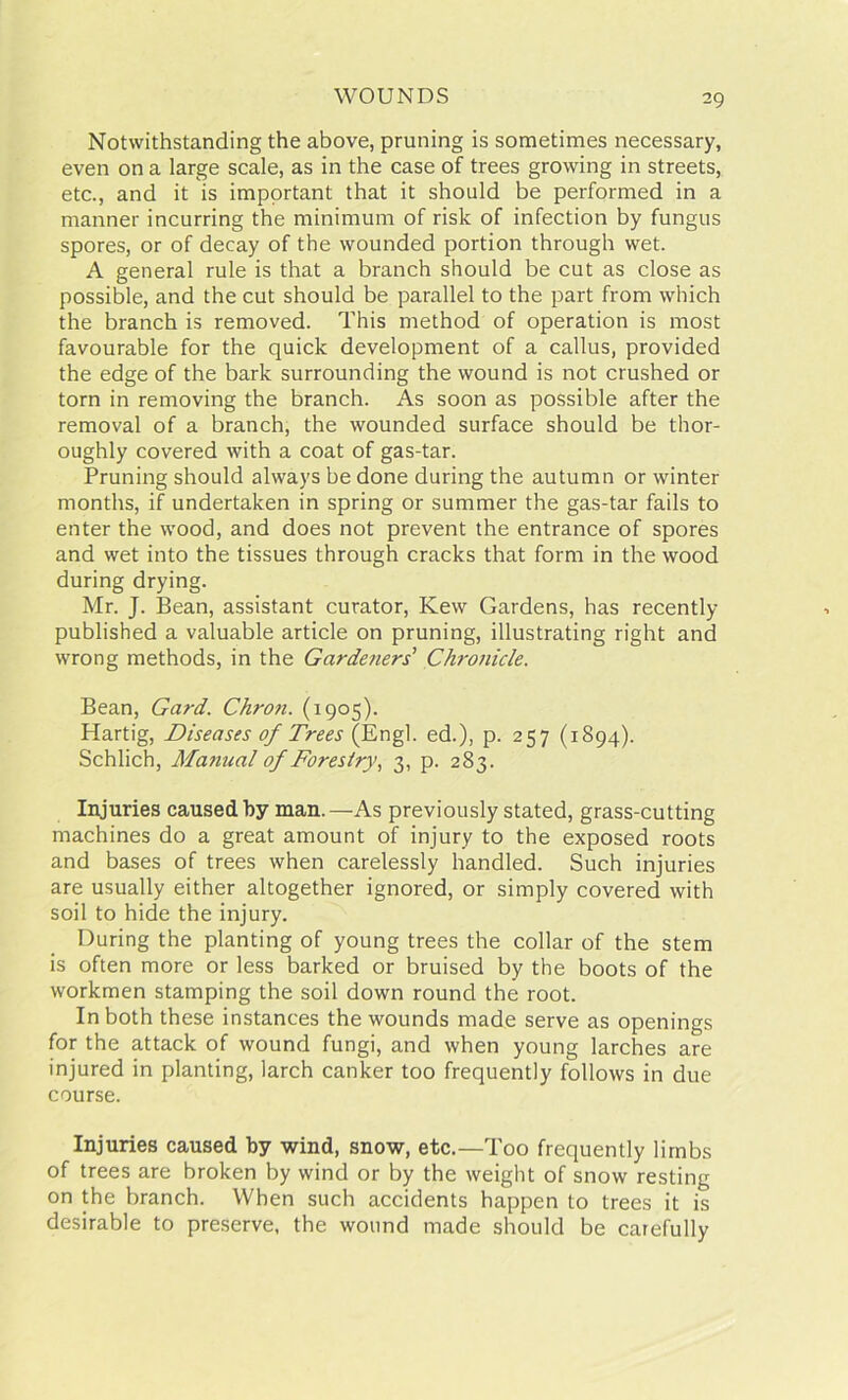 Notwithstanding the above, pruning is sometimes necessary, even on a large scale, as in the case of trees growing in streets, etc., and it is important that it should be performed in a manner incurring the minimum of risk of infection by fungus spores, or of decay of the wounded portion through wet. A general rule is that a branch should be cut as close as possible, and the cut should be parallel to the part from which the branch is removed. This method of operation is most favourable for the quick development of a callus, provided the edge of the bark surrounding the wound is not crushed or torn in removing the branch. As soon as possible after the removal of a branch, the wounded surface should be thor- oughly covered with a coat of gas-tar. Pruning should always be done during the autumn or winter months, if undertaken in spring or summer the gas-tar fails to enter the wood, and does not prevent the entrance of spores and wet into the tissues through cracks that form in the wood during drying. Mr. J. Bean, assistant curator, Kew Gardens, has recently published a valuable article on pruning, illustrating right and wrong methods, in the Gardeners' Chronicle. Bean, Card. Chron. (1905). Hartig, Diseases of Trees (Engl, ed.), p. 257 (1894). Schlich, Manual of Forestry, 3, p. 283. Injuries caused by man.—As previously stated, grass-cutting machines do a great amount of injury to the exposed roots and bases of trees when carelessly handled. Such injuries are usually either altogether ignored, or simply covered with soil to hide the injury. During the planting of young trees the collar of the stem is often more or less barked or bruised by the boots of the workmen stamping the soil down round the root. In both these instances the wounds made serve as openings for the attack of wound fungi, and when young larches are injured in planting, larch canker too frequently follows in due course. Injuries caused by wind, snow, etc.—Too frequently limbs of trees are broken by wind or by the weight of snow resting on the branch. When such accidents happen to trees it is desirable to preserve, the wound made should be carefully