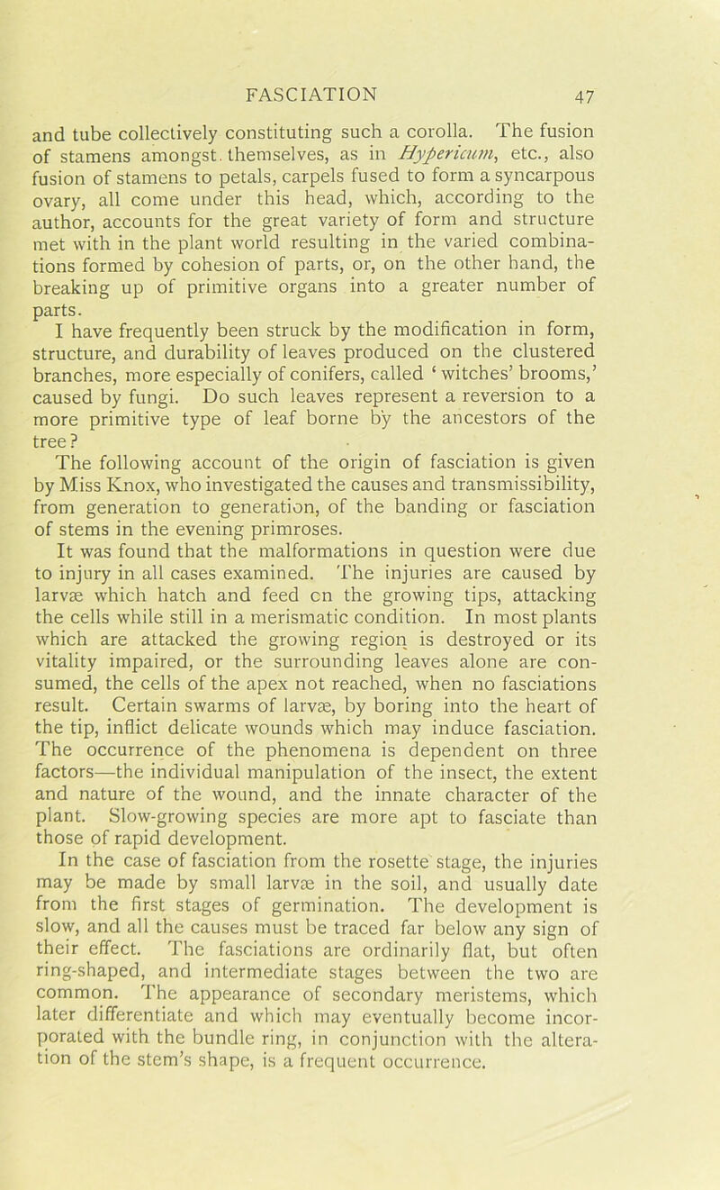 and tube collectively constituting such a corolla. The fusion of stamens amongst, themselves, as in Hypericum, etc., also fusion of stamens to petals, carpels fused to form asyncarpous ovary, all come under this head, which, according to the author, accounts for the great variety of form and structure met with in the plant world resulting in the varied combina- tions formed by cohesion of parts, or, on the other hand, the breaking up of primitive organs into a greater number of parts. I have frequently been struck by the modification in form, structure, and durability of leaves produced on the clustered branches, more especially of conifers, called ‘ witches’ brooms,’ caused by fungi. Do such leaves represent a reversion to a more primitive type of leaf borne by the ancestors of the tree ? The following account of the origin of fasciation is given by Miss Knox, who investigated the causes and transmissibility, from generation to generation, of the banding or fasciation of stems in the evening primroses. It was found that the malformations in question were due to injury in all cases examined. The injuries are caused by larvse which hatch and feed cn the growing tips, attacking the cells while still in a merismatic condition. In most plants which are attacked the growing region is destroyed or its vitality impaired, or the surrounding leaves alone are con- sumed, the cells of the apex not reached, when no fasciations result. Certain swarms of lame, by boring into the heart of the tip, inflict delicate wounds which may induce fasciation. The occurrence of the phenomena is dependent on three factors—the individual manipulation of the insect, the extent and nature of the wound, and the innate character of the plant. Slow-growing species are more apt to fasciate than those of rapid development. In the case of fasciation from the rosette stage, the injuries may be made by small larvae in the soil, and usually date from the first stages of germination. The development is slow, and all the causes must be traced far below any sign of their effect. The fasciations are ordinarily flat, but often ring-shaped, and intermediate stages between the two are common. The appearance of secondary meristems, which later differentiate and which may eventually become incor- porated with the bundle ring, in conjunction with the altera- tion of the stem’s shape, is a frequent occurrence.
