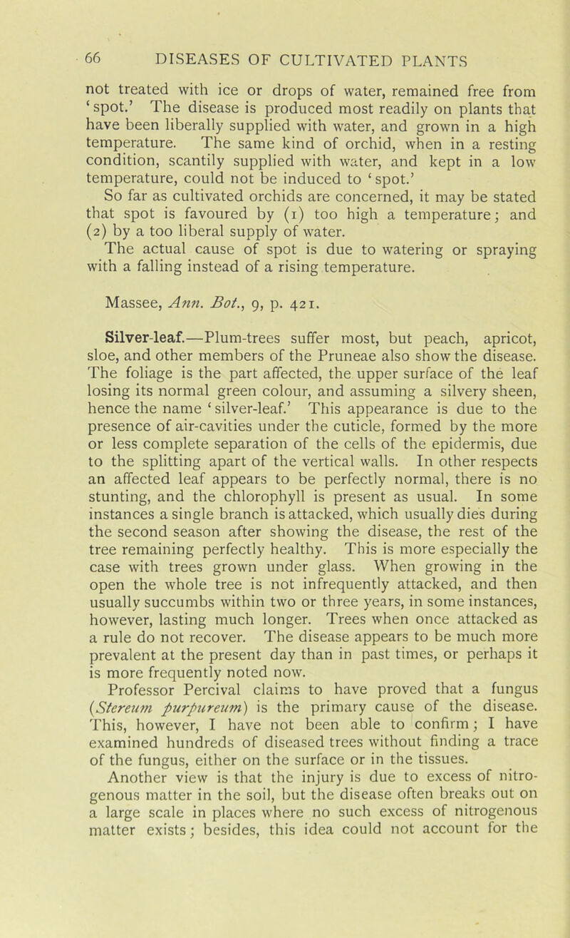 not treated with ice or drops of water, remained free from ‘ spot.’ The disease is produced most readily on plants that have been liberally supplied with water, and grown in a high temperature. The same kind of orchid, when in a resting condition, scantily supplied with water, and kept in a low temperature, could not be induced to ‘spot.’ So far as cultivated orchids are concerned, it may be stated that spot is favoured by (i) too high a temperature; and (2) by a too liberal supply of water. The actual cause of spot is due to watering or spraying with a falling instead of a rising temperature. Massee, Ann. Bot., 9, p. 421. Silver-leaf.—Plum-trees suffer most, but peach, apricot, sloe, and other members of the Pruneae also show the disease. The foliage is the part affected, the upper surface of the leaf losing its normal green colour, and assuming a silvery sheen, hence the name ‘ silver-leaf.’ This appearance is due to the presence of air-cavities under the cuticle, formed by the more or less complete separation of the cells of the epidermis, due to the splitting apart of the vertical walls. In other respects an affected leaf appears to be perfectly normal, there is no stunting, and the chlorophyll is present as usual. In some instances a single branch is attacked, which usually dies during the second season after showing the disease, the rest of the tree remaining perfectly healthy. This is more especially the case with trees grown under glass. When growing in the open the whole tree is not infrequently attacked, and then usually succumbs within two or three years, in some instances, however, lasting much longer. Trees when once attacked as a rule do not recover. The disease appears to be much more prevalent at the present day than in past times, or perhaps it is more frequently noted now. Professor Percival claims to have proved that a fungus (Stcreum purpureum) is the primary cause of the disease. This, however, I have not been able to confirm; I have examined hundreds of diseased trees without finding a trace of the fungus, either on the surface or in the tissues. Another view is that the injury is due to excess of nitro- genous matter in the soil, but the disease often breaks out on a large scale in places where no such excess of nitrogenous matter exists; besides, this idea could not account for the