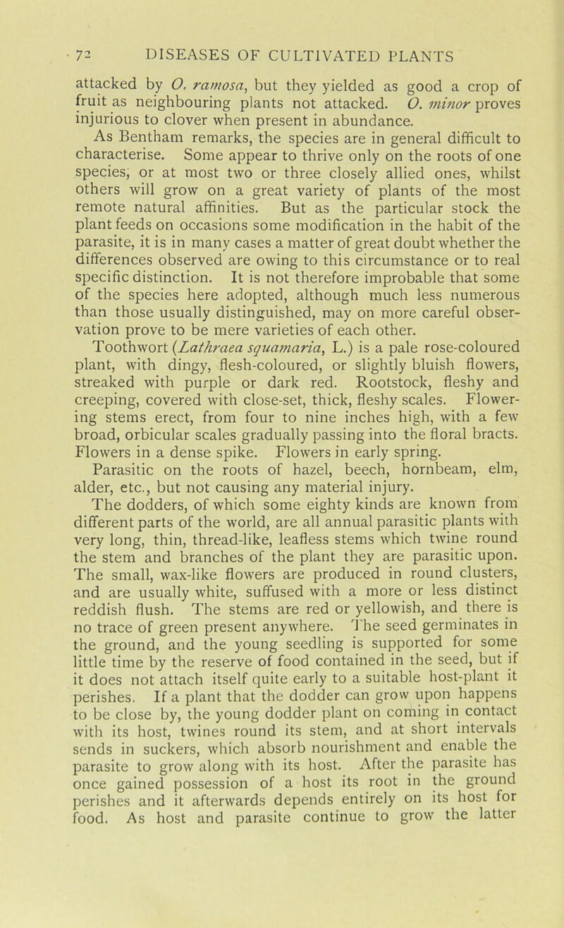 attacked by O. rawosa, but they yielded as good a crop of fruit as neighbouring plants not attacked. O. minor proves injurious to clover when present in abundance. As Bentham remarks, the species are in general difficult to characterise. Some appear to thrive only on the roots of one species, or at most two or three closely allied ones, whilst others will grow on a great variety of plants of the most remote natural affinities. But as the particular stock the plant feeds on occasions some modification in the habit of the parasite, it is in many cases a matter of great doubt whether the differences observed are owing to this circumstance or to real specific distinction. It is not therefore improbable that some of the species here adopted, although much less numerous than those usually distinguished, may on more careful obser- vation prove to be mere varieties of each other. Tooth wort (Latliraea squamaria, L.) is a pale rose-coloured plant, with dingy, flesh-coloured, or slightly bluish flowers, streaked with purple or dark red. Rootstock, fleshy and creeping, covered with close-set, thick, fleshy scales. Flower- ing stems erect, from four to nine inches high, with a few broad, orbicular scales gradually passing into the floral bracts. Flowers in a dense spike. Flowers in early spring. Parasitic on the roots of hazel, beech, hornbeam, elm, alder, etc., but not causing any material injury. The dodders, of which some eighty kinds are known from different parts of the world, are all annual parasitic plants with very long, thin, thread-like, leafless stems which twine round the stem and branches of the plant they are parasitic upon. The small, wax-like flowers are produced in round clusters, and are usually white, suffused with a more or less distinct reddish flush. The stems are red or yellowish, and there is no trace of green present anywhere. The seed germinates in the ground, and the young seedling is supported for some little time by the reserve of food contained in the seed, but if it does not attach itself quite early to a suitable host-plant it perishes, If a plant that the dodder can grow upon happens to be close by, the young dodder plant on coming in contact with its host, twines round its stem, and at short intervals sends in suckers, which absorb nourishment and enable the parasite to grow along with its host. After the parasite has once gained possession of a host its root in the ground perishes and it afterwards depends entirely on its host for food. As host and parasite continue to grow the latter