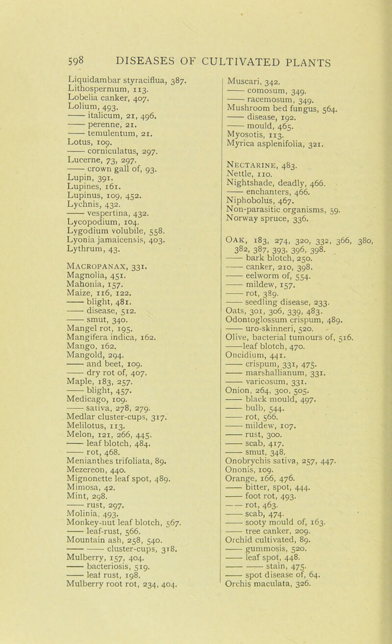 Liquidambar styraciflua, 387. Lithospermum, 113. Lobelia canker, 407. Lolium, 493. italicum, 21, 496. perenne, 21. temulentum, 21, Lotus, 109. corniculatus, 297. Lucerne, 73, 297. crown gall of, 93. Lupin, 391. Lupines, 161. Lupinus, 109, 452. Lychnis, 432. vespertina, 432. Lycopodium, 104. Lygodium volubile, 558. Lyonia jamaicensis, 403. Lythrum, 43. Macropanax, 331. Magnolia, 451. Mahonia, 157. Maize, 116, 122. blight, 481. disease, 512. smut, 340. Mangel rot, 195. Mangifera indica, 162. Mango, 162. Mangold, 294. and beet, 109. —— dry rot of, 407. Maple, 183, 257. blight, 457. Medicago, 109. sativa, 278, 279. Medlar cluster-cups, 317. Melilotus, 113. Melon, 121, 266, 445. leaf blotch, 484. rot, 468. Menianthes trifoliata, 89. Mezereon, 440. Mignonette leaf spot, 489. Mimosa, 42. Mint, 298. rust, 297. Molinia, 493. Monkey-nut leaf blotch, 567. leaf-rust, 566. Mountain ash, 258, 540. cluster-cups, 318. Mulberry, 157, 404. bacteriosis, 519. leaf rust, 198. Mulberry root rot, 234, 404. Muscari, 342. comosum, 349. racemosum, 349. Mushroom bed fungus, 564. disease, 192. mould, 465. Myosotis, 113. Myrica asplenifolia, 321. Nectarine, 483. Nettle, no. Nightshade, deadly, 466. enchanters, 466. Niphobolus, 467. Non-parasitic organisms, 59. Norway spruce, 336. Oak, 183, 274, 320, 332, 366, 380, 382, 387, 393, 396, 398. bark blotch, 250. canker, 210, 398. eel worm of, 554. mildew, 1C7. rot, 389. seedling disease, 233. Oats, 301, 306, 339, 483. Odontoglossum crispum, 489. uro-skinneri, 520. Olive, bacterial tumours of, 516. leaf blotch, 470. Oncidium, 441. crispum, 331, 475. marshallianum, 331. varicosum, 331. Onion, 264, 300, 505. black mould, 497. bulb, 544. rot, 566. mildew, 107. rust, 300. scab, 417. smut, 348. Onobrychis sativa, 257, 447. Ononis, 109. Orange, 166, 476. bitter, spot, 444. foot rot, 493. rot, 463. scab, 474. ——- sooty mould of, 163. tree canker, 209. Orchid cultivated, 89. gummosis, 520. leaf spot, 448. stain, 475. spot disease of, 64. Orchis maculata, 326.