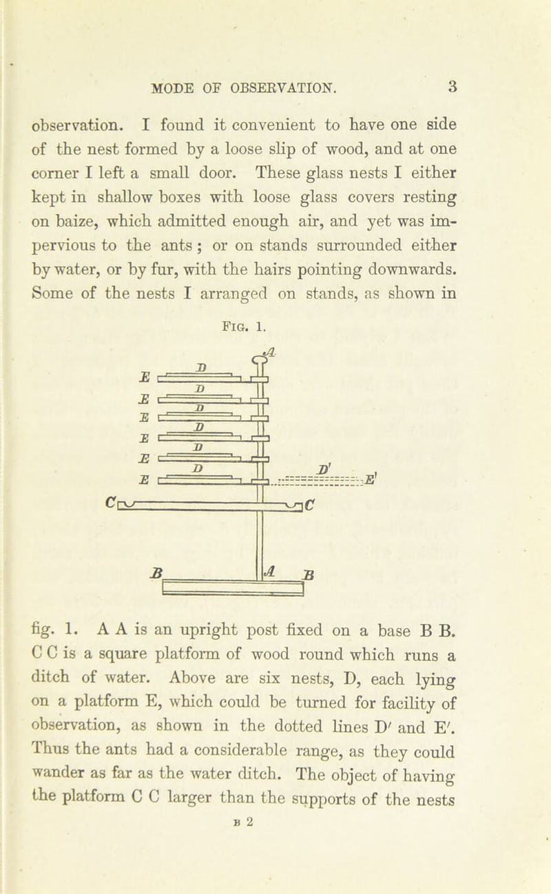 observation. I found it convenient to have one side of the nest formed by a loose slip of wood, and at one corner I left a small door. These glass nests I either kept in shallow boxes with loose glass covers resting on baize, which admitted enough air, and yet was im- pervious to the ants; or on stands surrounded either by water, or by fur, with the hairs pointing downwards. Some of the nests I arranged on stands, as shown in Fig. l. fig. 1. A A is an upright post fixed on a base B B. C C is a square platform of wood round which runs a ditch of water. Above are six nests, D, each lying on a platform E, which could be turned for facility of observation, as shown in the dotted lines D' and E'. Thus the ants had a considerable range, as they could wander as far as the water ditch. The object of having the platform C C larger than the supports of the nests