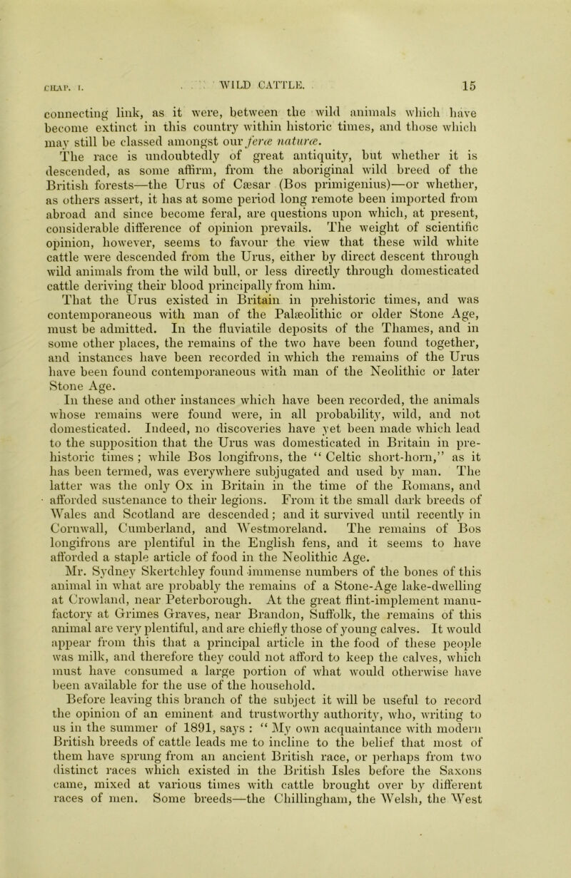 \ connecting link, as it were, between the wild animals which have become extinct in this country within historic times, and those which may still be classed amongst our feres natures. The race is undoubtedly of great antiquity, but whether it is descended, as some affirm, from the aboriginal wild breed of the British forests—the Urus of Ca3sar (Bos primigenius)—or whether, as others assert, it has at some period long remote been imported from abroad and since become feral, are questions upon which, at present, considerable difference of opinion prevails. The weight of scientific opinion, however, seems to favour the view that these wild white cattle were descended from the Urus, either by direct descent through wild animals from the wild bull, or less directly through domesticated cattle deriving their blood principally from him. That the Urus existed in Britain in prehistoric times, and was contemporaneous with man of the Palaeolithic or older Stone Age, must be admitted. In the fluviatile deposits of the Thames, and in some other places, the remains of the two have been found together, and instances have been recorded in which the remains of the Urus have been found contemporaneous with man of the Neolithic or later Stone Age. In these and other instances which have been recorded, the animals whose remains were found were, in all probability, wild, and not domesticated. Indeed, no discoveries have yet been made which lead to the supposition that the Urus was domesticated in Britain in pre- historic times ; while Bos longifrons, the “ Celtic short-horn,” as it has been termed, was everywhere subjugated and used by man. The latter was the only Ox in Britain in the time of the Bomans, and afforded sustenance to their legions. From it the small dark breeds of Wales and Scotland are descended; and it survived until recently in Cornwall, Cumberland, and Westmoreland. The remains of Bos longifrons are plentiful in the English fens, and it seems to have afforded a staple article of food in the Neolithic Age. Mr. Sydney Skertchley found immense numbers of the bones of this animal in what are probably the remains of a Stone-Age lake-dwelling at Crowland, near Peterborough. At the great flint-implement manu- factory at Grimes Graves, near Brandon, Suffolk, the remains of this animal are very plentiful, and are chiefly those of young calves. It would appear from this that a principal article in the food of these people was milk, and therefore they could not afford to keep the calves, which must have consumed a large portion of what would otherwise have been available for the use of the household. Before leaving this branch of the subject it will be useful to record the opinion of an eminent and trustworthy authority, who, writing to us in the summer of 1891, says : “ My own acquaintance with modern British breeds of cattle leads me to incline to the belief that most of them have sprung from an ancient British race, or perhaps from two distinct races which existed in the British Isles before the Saxons came, mixed at various times with cattle brought over by different races of men. Some breeds—the Chillingham, the Welsh, the West