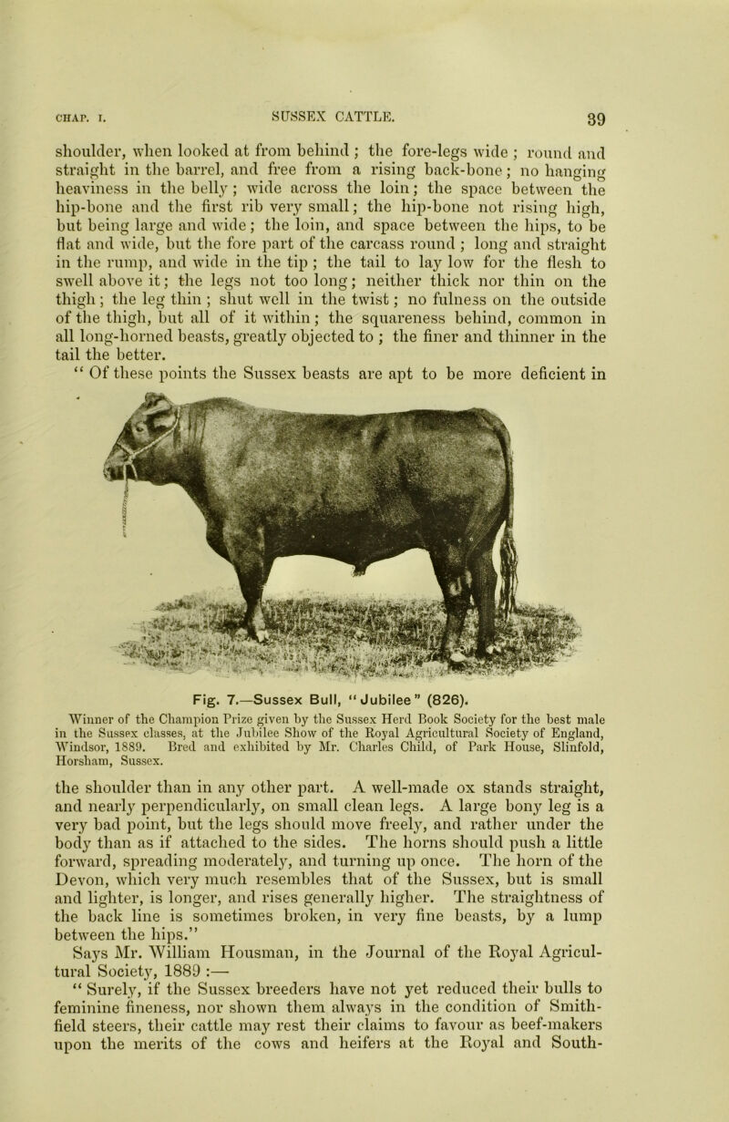 shoulder, when looked at from behind ; the fore-legs wide ; round and straight in the barrel, and free from a rising back-hone; no hanging heaviness in the belly; wide across the loin; the space between the hip-hone and the first rib very small; the hip-bone not rising high, hut being large and wide; the loin, and space between the hips, to be flat and wide, hut the fore part of the carcass round; long and straight in the rump, and wide in the tip ; the tail to lay low for the flesh to swell above it; the legs not too long; neither thick nor thin on the thigh; the leg thin ; shut well in the twist; no fulness on the outside of the thigh, hut all of it within; the squareness behind, common in all long-horned beasts, greatly objected to ; the finer and thinner in the tail the better. “ Of these points the Sussex beasts are apt to be more deficient in Fig. 7.—Sussex Bull, “Jubilee” (826). Winner of the Champion Prize given by the Sussex Herd Book Society for the best male in the Sussex classes, at the Jubilee Show of the Royal Agricultural Society of England, Windsor, 1889. Bred and exhibited by Mr. Charles Child, of Park House, Slinfold, Horsham, Sussex. the shoulder than in any other part. A well-made ox stands straight, and nearly perpendicularly, on small clean legs. A large bony leg is a very bad point, but the legs should move freely, and rather under the body than as if attached to the sides. The horns should push a little forward, spreading moderately, and turning up once. The horn of the Devon, which very much resembles that of the Sussex, but is small and lighter, is longer, and rises generally higher. The straightness of the back line is sometimes broken, in very fine beasts, by a lump between the hips.” Says Mr. William Housman, in the Journal of the Royal Agricul- tural Society, 1889 :— “ Surely, if the Sussex breeders have not yet reduced their bulls to feminine fineness, nor shown them always in the condition of Smith- field steers, their cattle may rest their claims to favour as beef-makers upon the merits of the cows and heifers at the Royal and South-