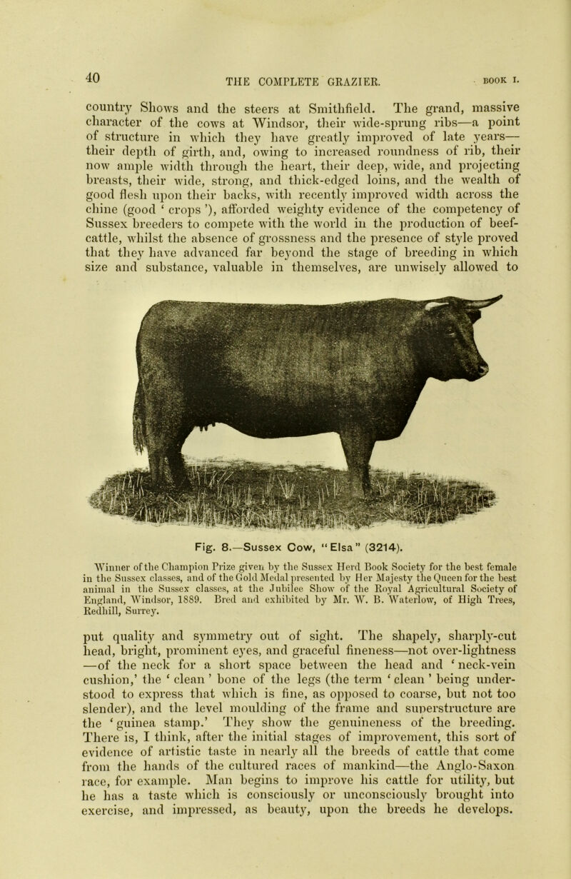 country Shows and the steers at Smitlifield. The grand, massive character of the cows at Windsor, their wide-sprung ribs—a point of structure in which they have greatly improved of late years— their depth of girth, and, owing to increased roundness of rib, their now ample width through the heart, their deep, wide, and projecting breasts, their wide, strong, and thick-edged loins, and the wealth of good flesh upon their backs, with recently improved width across the chine (good ‘ crops ’), afforded weighty evidence of the competency of Sussex breeders to compete with the world in the production of beef- cattle, whilst the absence of grossness and the presence of style proved that they have advanced far beyond the stage of breeding in which size and substance, valuable in themselves, are unwisely allowed to Fig. 8.—Sussex Cow, “Elsa” (3214). Winner of the Champion Prize given by the Sussex Herd Book Society for the best female in the Sussex classes, and of the Gold Medal presented by Her Majesty the Queen for the best animal in the Sussex classes, at the Jubilee Show of the Royal Agricultural Society of England, Windsor, 1889. Bred and exhibited by Mr. W. B. Waterlow, of High Trees, Redhill, Surrey. put quality and symmetry out of sight. The shapely, sliarply-cut head, bright, prominent eyes, and graceful fineness—not over-lightness —of the neck for a short space between the head and * neck-vein cushion,’ the £ clean ’ bone of the legs (the term ‘ clean ’ being under- stood to express that which is fine, as opposed to coarse, but not too slender), and the level moulding of the frame and superstructure are the ‘ guinea stamp.’ They show the genuineness of the breeding. There is, I think, after the initial stages of improvement, this sort of evidence of artistic taste in nearly all the breeds of cattle that come from the hands of the cultured races of mankind—the Anglo-Saxon race, for example. Man begins to improve his cattle for utility, but he has a taste which is consciously or unconsciously brought into exercise, and impressed, as beauty, upon the breeds he develops.