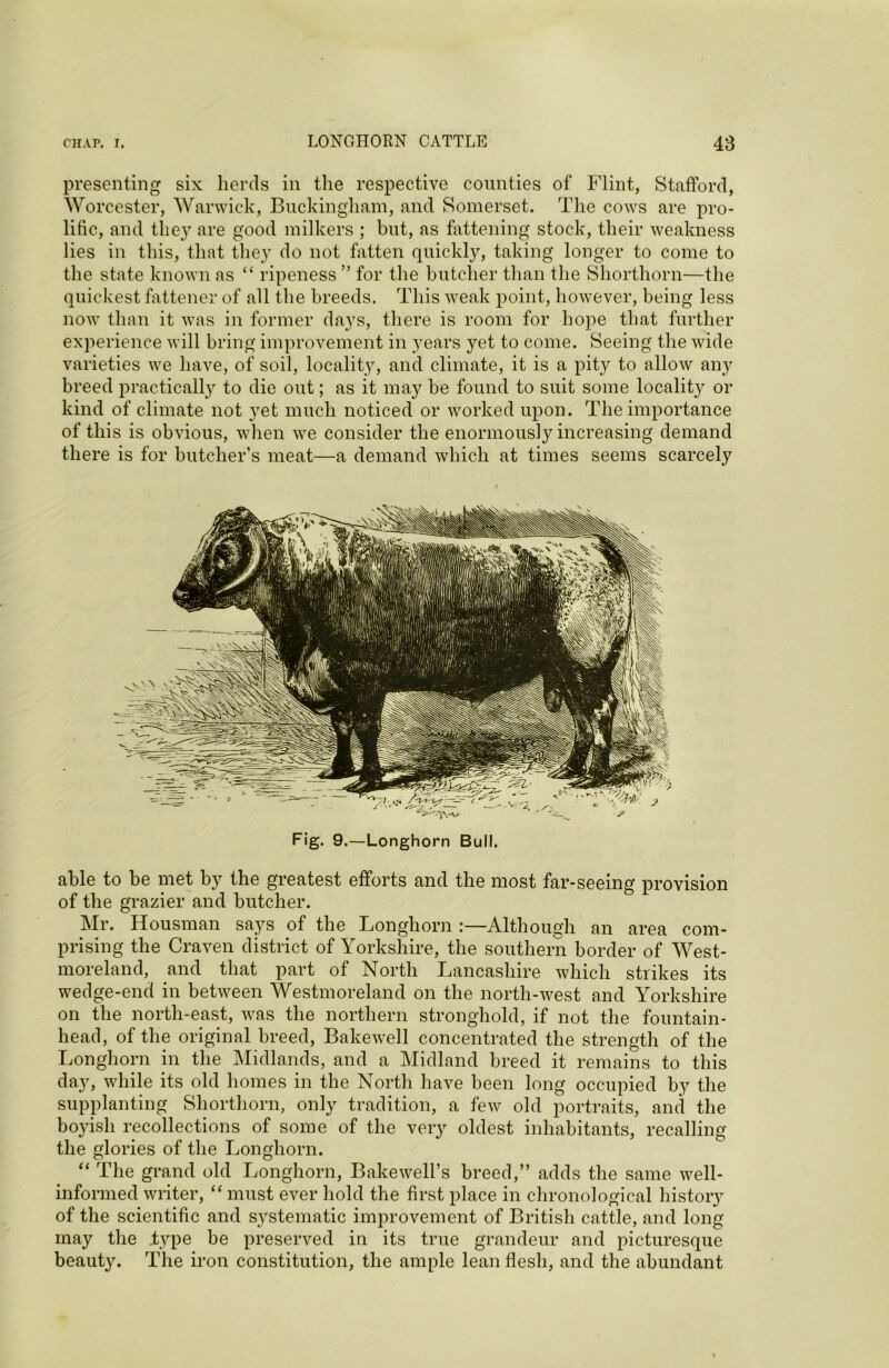 presenting six herds in the respective counties of Flint, Stafford, Worcester, Warwick, Buckingham, and Somerset. The cows are pro- lific, and the}' are good milkers ; but, as fattening stock, their weakness lies in this, that they do not fatten quickly, taking longer to come to the state known as “ ripeness ” for the butcher than the Shorthorn—the quickest fattener of all the breeds. This weak point, however, being less now than it was in former days, there is room for hope that further experience will bring improvement in years yet to come. Seeing the wide varieties we have, of soil, locality, and climate, it is a pity to allow any breed practically to die out; as it may be found to suit some locality or kind of climate not yet much noticed or worked upon. The importance of this is obvious, when we consider the enormously increasing demand there is for butcher’s meat—a demand which at times seems scarcely Fig. 9.—Longhorn Bull. able to be met by the greatest efforts and the most far-seeing provision of the grazier and butcher. Mr. Housman says of the Longhorn :—Although an area com- prising the Craven district of Yorkshire, the southern border of West- moreland, and that part of North Lancashire which strikes its wedge-end in between Westmoreland on the north-west and Yorkshire on the north-east, was the northern stronghold, if not the fountain- head, of the original breed, Bakewell concentrated the strength of the Longhorn in the Midlands, and a Midland breed it remains to this day, while its old homes in the North have been long occupied by the supplanting Shorthorn, only tradition, a few old portraits, and the boyish recollections of some of the very oldest inhabitants, recalling the glories of the Longhorn. “ The grand old Longhorn, Bakewell’s breed,” adds the same well- informed writer, “ must ever hold the first place in chronological history of the scientific and systematic improvement of British cattle, and long may the type be preserved in its true grandeur and picturesque beauty. The iron constitution, the ample lean flesh, and the abundant
