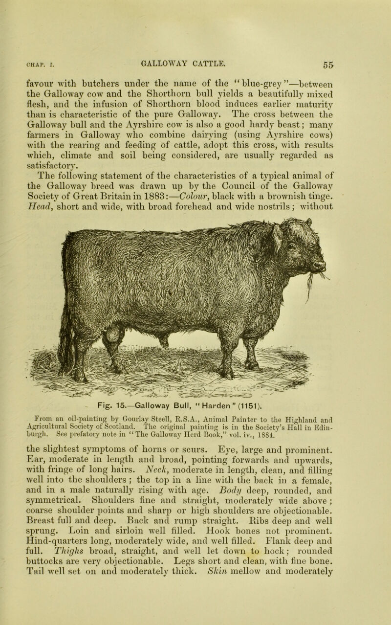 favour with butchers under the name of the “blue-grey”—between the Galloway cow and the Shorthorn hull yields a beautifully mixed flesh, and the infusion of Shorthorn blood induces earlier maturity than is characteristic of the pure Galloway. The cross between the Galloway bull and the Ayrshire cow is also a good hardy beast; many farmers in Galloway who combine dairying (using Ayrshire cows) with the rearing and feeding of cattle, adopt this cross, with results which, climate and soil being considered, are usualty regarded as satisfactory. The following statement of the characteristics of a typical animal of the Gallowa}'- breed was drawn up by the Council of the Gallowa3r Society of Great Britain in 1888:—Colour, black with a brownish tinge. Head, short and wide, with broad forehead and wide nostrils; without Fig. 15.—Galloway Bull, “ Harden ” (1151). From an oil-painting by Gourlay Steell, R.S.A., Animal Painter to the Highland and Agricultural Society of Scotland. The original painting is in the Society’s Hall in Edin- burgh. See prefatory note in “ The Galloway Herd Book,” vol. iv., 1884. the slightest symptoms of horns or scurs. Eye, large and prominent. Ear, moderate in length and broad, pointing forwards and upwards, with fringe of long hairs. Neck, moderate in length, clean, and filling well into the shoulders ; the top in a line with the back in a female, and in a male naturally rising with age. Body deep, rounded, and symmetrical. Shoulders fine and straight, moderately wide above ; coarse shoulder points and sharp or high shoulders are objectionable. Breast full and deep. Back and rump straight. Bibs deep and well sprung. Loin and sirloin well filled. Hook bones not prominent. Hind-quarters long, moderately wide, and well filled. Flank deep and full. Thighs broad, straight, and well let down to hock; rounded buttocks are very objectionable. Legs short and clean, with fine bone. Tail well set on and moderately thick. Skin mellow and moderately