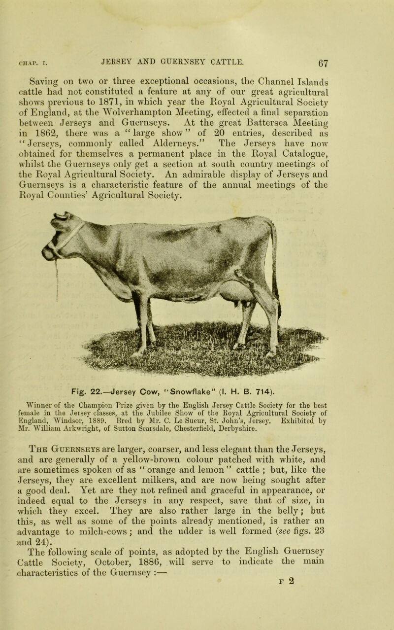 Saving on two or three exceptional occasions, the Channel Islands cattle had not constituted a feature at any of our great agricultural shows previous to 1871, in which year the Royal Agricultural Society of England, at the Wolverhampton Meeting, effected a final separation between Jerseys and Guernseys. At the great Battersea Meeting in 1862, there was a “ large show ” of 20 entries, described as “Jerseys, commonly called Alderneys.” The Jerseys have now obtained for themselves a permanent place in the Royal Catalogue, whilst the Guernseys only get a section at south country meetings of the Royal Agricultural Society. An admirable display of Jerseys and Guernseys is a characteristic feature of the annual meetings of the Royal Counties’ Agricultural Society. Fig. 22.—Jersey Cow, “Snowflake” (I. H. B. 714). Winner of the Champion Prize given by the English Jersey Cattle Society for the best female in the Jersey classes, at the Jubilee Show of the Royal Agricultural Society of England, Windsor, 1889. Bred by Mr. C. Le Sueur, St. John’s, Jersey. Exhibited by Mr. William Arkwright, of Sutton Scarsdale, Chesterfield, Derbyshire. The Guernseys are larger, coarser, and less elegant than the Jerseys, and are generally of a yellow-brown colour patched with white, and are sometimes spoken of as “ orange and lemon” cattle ; but, like the Jerseys, they are excellent milkers, and are now being sought after a good deal. Yet are they not refined and graceful in appearance, or indeed equal to the Jerseys in any respect, save that of size, in which they excel. They are also rather large in the belly; but this, as well as some of the points already mentioned, is rather an advantage to milch-cows; and the udder is well formed (see figs. 23 and 24). The following scale of points, as adopted by the English Guernsey Cattle Society, October, 1886, will serve to indicate the main characteristics of the Guernsey :— r 2