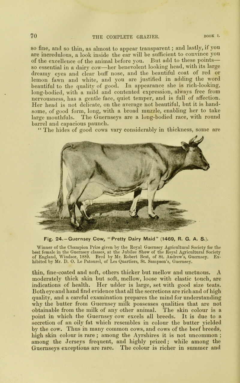 so fine, and so thin, as almost to appear transparent; and lastly, if you are incredulous, a look inside the ear will he sufficient to convince you of the excellence of the animal before you. But add to these points so essential in a dairy cow—her benevolent looking head, with its large dreamy e}7es and clear buff nose, and the beautiful coat of red or lemon fawn and white, and you are justified in adding the word beautiful to the quality of good. In appearance she is rich-looking, long-bodied, with a mild and contented expression, always free from nervousness, has a gentle face, quiet temper, and is full of affection. Her head is not delicate, on the average not beautiful, but it is hand- some, of good form, long, with a broad muzzle, enabling her to take large mouthfuls. The Guernseys are a long-bodied race, with round barrel and capacious paunch. “ The hides of good cows vary considerably in thickness, some are Fig. 24.—Guernsey Cow, “Pretty Dairy Maid” (1469, R. G. A. S.). Winner of the Champion Prize given by the Royal Guernsey Agricultural Society for the best female in the Guernsey classes, at the Jubilee Show of the Royal Agricultural Society of England, Windsor, 1889. Bred by Mr. Robert Best, of St. Andrew’s, Guernsey. Ex- hibited by Mr. D. 0. Le Patourel, of Lcs Quartiers, St. Sampson’s, Guernsey. thin, fine-coated and soft, others thicker but mellow and unctuous. A moderately thick skin but soft, mellow, loose with elastic touch, are indications of health. Her udder is large, set with good size teats. Both eye and hand find evidence that all the secretions are rich and of high quality, and a careful examination prepares the mind for understanding why the butter from Guernsey milk possesses qualities that are not obtainable from the milk of any other animal. The skin colour is a point in which the Guernsey cow excels all breeds. It is due to a secretion of an oily fat which resembles in colour the butter yielded by the cow. Thus in many common cows, and cows of the beef breeds, high skin colour is rare ; among the Ayrshires it is not uncommon ; among the Jerseys frequent, and highly prized; while among the Guernseys exceptions are rare. The colour is richer in summer and