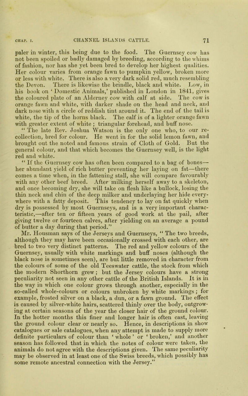 paler in winter, this being due to the food. The Guernsey cow lias not been spoiled or badly damaged by breeding, according to the whims of fashion, nor lias she yet been bred to develop her highest qualities. Her colour varies from orange fawn to pumpkin yellow, broken more or less with white. There is also a very dark solid red, much resembling the Devon. There is likewise the brindle, black and white. Low, in his hook on ‘ Domestic Animals,’ published in London in 1841, gives the coloured plate of an Alderney cow with calf at side. The cow is orange fawn and white, with darker shade on the head and neck, and dark nose with a circle of reddish tint around it. The end of the tail is white, the tip of the horns black. The calf is of a lighter orange fawn with greater extent of white ; triangular forehead, and buff nose. “ The late Rev. Joshua Watson is the only one who, to our re- collection, bred for colour. He went in for the solid lemon fawn, and brought out the noted and famous strain of Cloth of Gold. But the general colour, and that which becomes the Guernsey well, is the light red and white. “ If the Guernse}'' cow has often been compared to a bag of bones— her abundant yield of rich butter preventing her laying on fat—there comes a time when, in the fattening stall, she will compare favourably with airy other beef breed. After milking herself away to a skeleton, and once becoming dry, she will take on flesh like a bullock, losing the thin neck and chin of the deep milker and underlaying her hide every- where with a fatty deposit. This tendency to lay on fat quickly when dry is possessed by most Guernseys, and is a very important charac- teristic,—after ten or fifteen years of good work at the pail, after giving twelve or fourteen calves, after 3uelding on an average a pound of butter a day during that period.” Mr. Housman says of the Jerseys and Guernseys, “ The two breeds, although they may have been occasional^ crossed with each other, are bred to two very distinct patterns. The red and yellow colours of the Guernsey, usually with white markings and buff noses (although the black nose is sometimes seen), are but little removed in character from the colours of some of the old Teeswater cattle, the stock from which the modern Shorthorn grew; but the Jersey colours have a strong peculiarity not seen in any other cattle of the British Islands. It is in the way in which one colour grows through another, especially in the so-called whole-colours or colours unbroken by white markings; for example, frosted silver on a black, a dun, or a fawn ground. The effect is caused by silver-white hairs, scattered thinly over the body, outgrow- ing at certain seasons of the year the closer hair of the ground colour. In the hotter months this finer and longer hair is often cast, leaving the ground colour clear or nearly so. Hence, in descriptions in show catalogues or sale catalogues, when any attempt is made to supply more definite particulars of colour than ‘ whole ’ or ‘ broken,’ and another season has followed that in which the notes of colour were taken, the animals do not agree with the descriptions given. The same peculiarity may be observed in at least one of the Swiss breeds, which possibly lias some remote ancestral connection with the Jersey.”