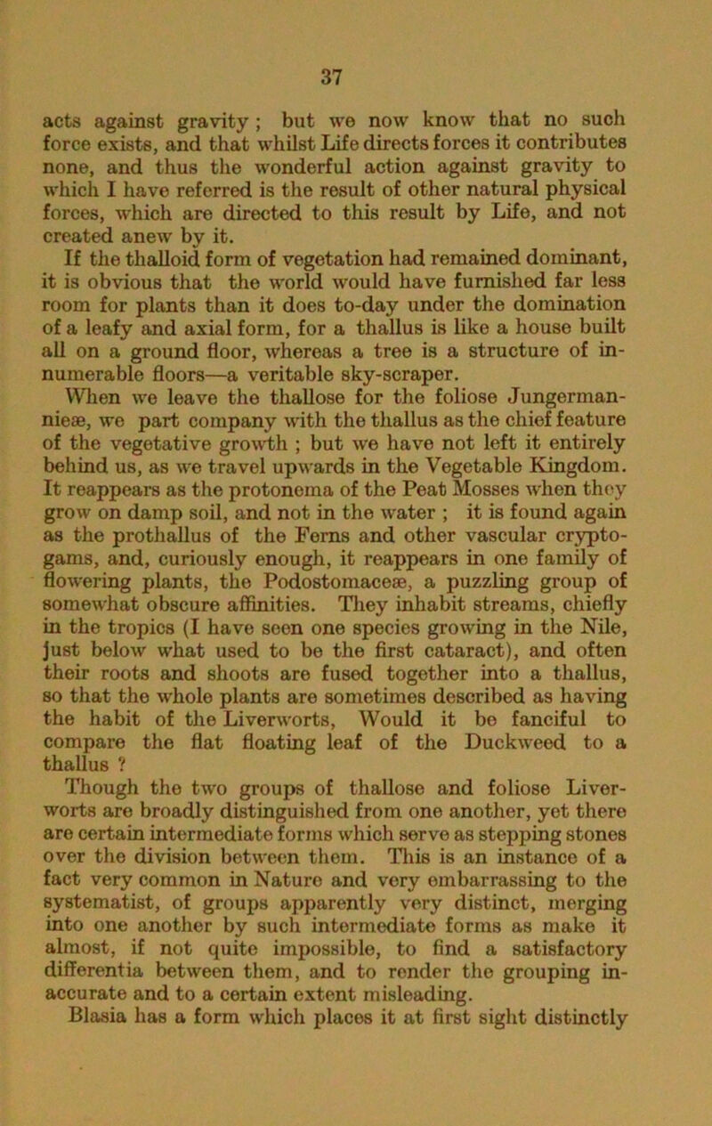 acts against gravity ; but we now know that no such force exists, and that whilst Life directs forces it contributes none, and thus the wonderful action against gravity to which I have referred is the result of other natural physical forces, which are directed to this result by Life, and not created anew by it. If the thalloid form of vegetation had remained dominant, it is obvious that the world would have furnished far less room for plants than it does to-day under the domination of a leafy and axial form, for a thallus is like a house built all on a ground floor, whereas a tree is a structure of in- numerable floors—a veritable sky-scraper. When we leave the thallose for the foliose Jungerman- niese, we part company with the thallus as the chief feature of the vegetative growth ; but we have not left it entirely behind us, as wre travel upwards in the Vegetable Kingdom. It reappears as the protonema of the Peat Mosses when they grow on damp soil, and not in the water ; it is found again as the prothallus of the Ferns and other vascular crypto- gams, and, curiously enough, it reappears in one family of flowering plants, the Podostomacese, a puzzling group of somev'hat obscure affinities. They inhabit streams, chiefly in the tropics (I have seen one species growing in the Nile, just below what used to be the first cataract), and often their roots and shoots are fused together into a thallus, so that the whole plants are sometimes described as having the habit of the Liverworts, Would it bo fanciful to compare the flat floating leaf of the Duckwreed to a thallus ? Though the two groups of thallose and foliose Liver- worts are broadly distinguished from one another, yet there are certain intermediate forms which serve as stepping stones over the division between them. This is an instance of a fact very common in Nature and very embarrassing to the systematist, of groups apparently very distinct, merging into one another by such intermediate forms as make it almost, if not quite impossible, to find a satisfactory differentia between them, and to render the grouping in- accurate and to a certain extent misleading. Blasia has a form which places it at first sight distinctly