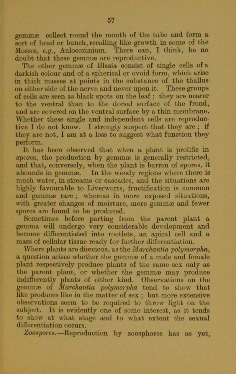gemmae collect round the mouth of the tube and form a sort of head or bunch, recalling like growth in some of the Mosses, e.g., Aulocomnium. There can, I think, be no doubt that these gemmae are reproductive. The other gemmae of Blasia consist of single cells of a darkish colour and of a spherical or ovoid form, which arise in thick masses at points in the substance of the thallus on either side of the nerve and never upon it. These groups of cells are seen as black spots on the leaf ; they are nearer to the ventral than to the dorsal surface of the frond, and are covered on the ventral surface by a thin membrane. Whether these single and independent cells are reproduc- tive I do not know. I strongly suspect that they are ; if they are not, I am at a loss to suggest what function they perform. It has been observed that when a plant is prolific in spores, the production by gemmae is generally restricted, and that, conversely, when the plant is barren of spores, it abounds in gemmae. In the woody regions where there is mucli water, in streams or cascades, and the situations are highly favourable to Liverworts, fructification is common and gemmae rare ; whereas in more exposed situations, with greater changes of moisture, more gemmae and fewer spores are found to be produced. Sometimes before parting from the parent plant a gemma will undergo very considerable development and become differentiated into rootlets, an apical cell and a mass of cellular tissue ready for further differentiation. Where plants are dioecious, as the Marchanlia polymorpha, a question arises whether the gemmae of a male and female plant respectively produce plants of the same sex only as the parent plant, or whether the gemmae may produce indifferently plants of either kind. Observations on the gemmae of Marchanlia polymorpha tond to show that like produces like in the matter of sex ; but more extensive observations seem to bo required to throw light on the subject. It is evidently one of some interest, as it tends to show at what stage and to what extent the sexual differentiation occurs. Zoospores.—Reproduction by zoosphores has as yet,