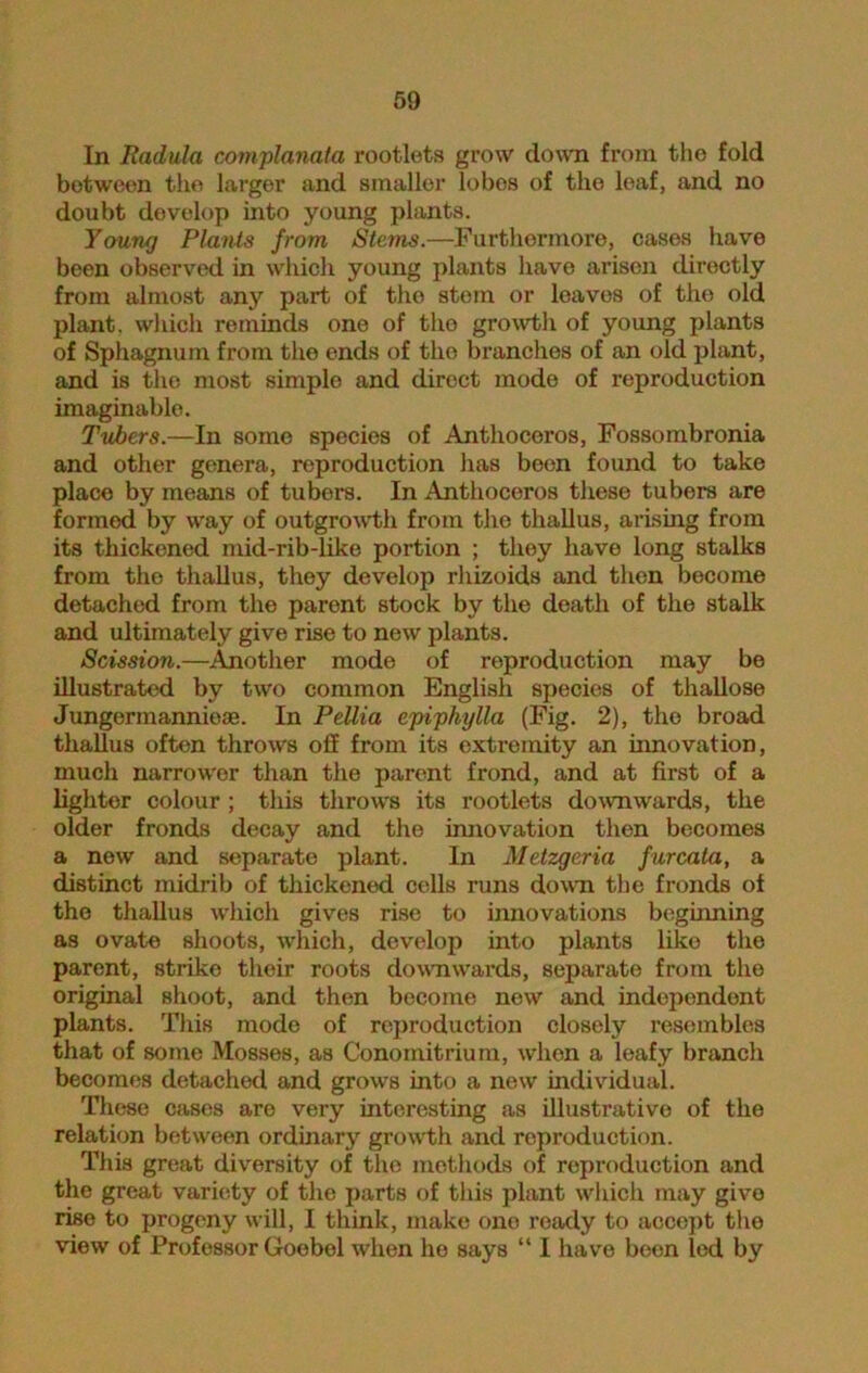 In Radula complanata rootlets grow clown from the fold between the larger and smaller lobes of the leaf, and no doubt develop into young plants. Yaung Plants from, Stems.—Furthermore, cases have been observed in which young plants have arisen directly from almost any part of tho stem or leaves of the old plant, which reminds one of the growth of young plants of Sphagnum from the ends of tho branches of an old plant, and is the most simple and direct mode of reproduction imaginable. Tubers.—In some species of Anthoceros, Fossombronia and other genera, reproduction has been found to take place by means of tubors. In Anthoceros these tubers are formed by way of outgrowth from the thallus, arising from its thickened mid-rib-like portion ; they have long stalks from the thallus, they develop rhizoids and then become detached from the parent stock by the death of the stalk and ultimately give rise to new plants. Scission.—Another mode of reproduction may be illustrated by two common English species of thallose Jungermannieae. In Pellia epiphylla (Fig. 2), tho broad thallus often throws off from its extremity an innovation, much narrower than the parent frond, and at first of a lighter colour ; this throws its rootlets downwards, the older fronds decay and the innovation then becomes a new and separate plant. In Metzgcria furcata, a distinct midrib of thickened cells runs down the fronds of the thallus which gives rise to innovations beginning as ovate shoots, which, develop into plants like the parent, strike their roots downwards, separate from the original shoot, and then become new and independent plants. This mode of reproduction closely resembles that of some Mosses, as Conomitrium, whon a leafy branch becomes detached and grows into a new individual. These cases are very interesting as illustrative of the relation between ordinary growth and reproduction. This great diversity of the methods of reproduction and the great variety of the parts of this plant which may give rise to progeny will, I think, make one ready to accept tho view of Professor Goebel when he says “ I have been led by