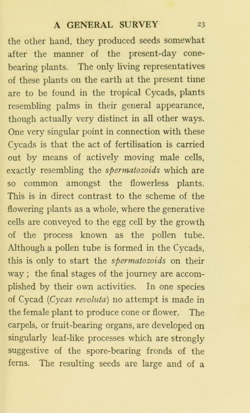 the other hand, they produced seeds somewhat after the manner of the present-day cone- bearing plants. The only living representatives of these plants on the earth at the present time are to be found in the tropical Cycads, plants resembling palms in their general appearance, though actually very distinct in all other ways. One very singular point in connection with these Cycads is that the act of fertilisation is carried out by means of actively moving male cells, exactly resembling the spermatozoids which are so common amongst the flowerless plants. This is in direct contrast to the scheme of the flowering plants as a whole, where the generative cells are conveyed to the egg cell by the growth of the process known as the pollen tube. Although a pollen tube is formed in the Cycads, this is only to start the spermatozoids on their way ; the final stages of the journey are accom- plished by their own activities. In one species of Cycad [Cycas revokita) no attempt is made in the female plant to produce cone or flow^er. The carpels, or fruit-bearing organs, are developed on singularly leaf-like processes w^hich are strongly suggestive of the spore-bearing fronds of the ferns. The resulting seeds are large and of a