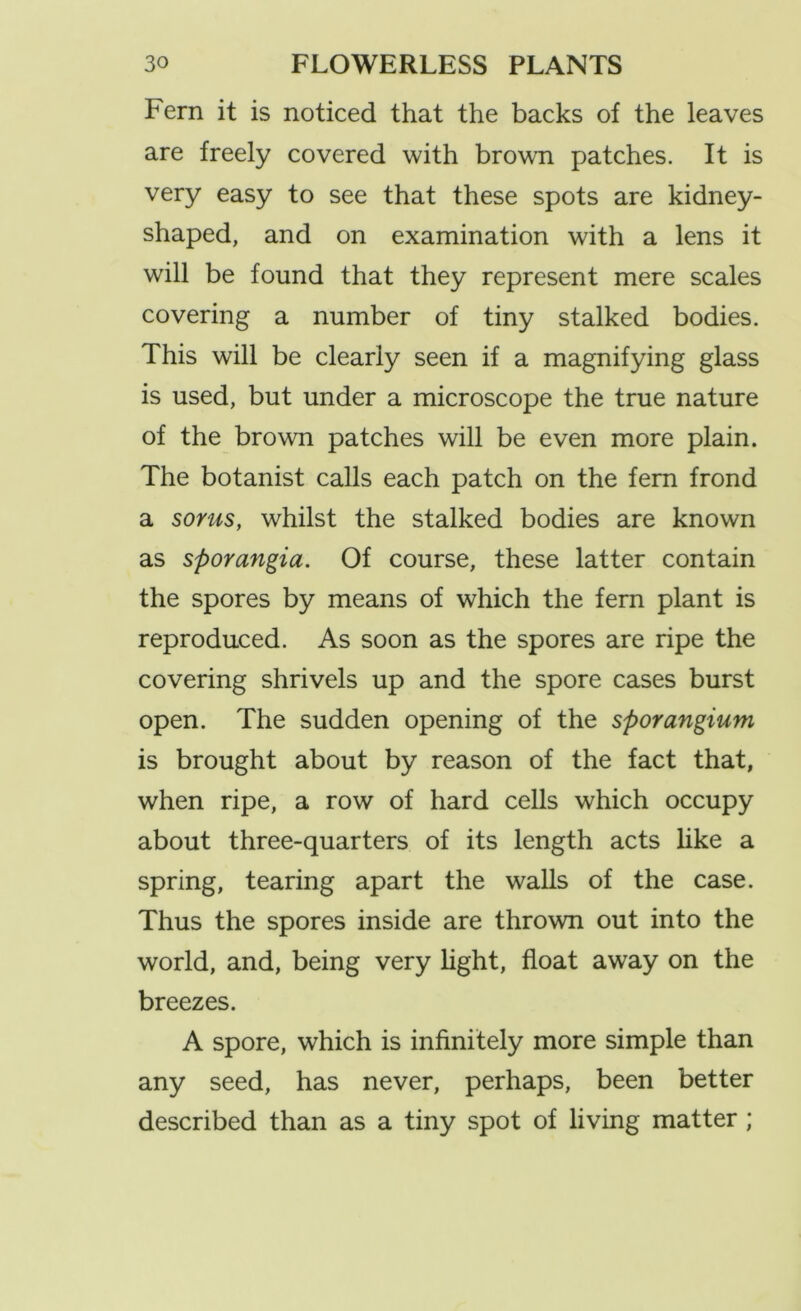 Fern it is noticed that the backs of the leaves are freely covered with brown patches. It is very easy to see that these spots are kidney- shaped, and on examination with a lens it will be found that they represent mere scales covering a number of tiny stalked bodies. This will be clearly seen if a magnifying glass is used, but under a microscope the true nature of the brown patches will be even more plain. The botanist calls each patch on the fern frond a sorus, whilst the stalked bodies are known as sporangia. Of course, these latter contain the spores by means of which the fern plant is reproduced. As soon as the spores are ripe the covering shrivels up and the spore cases burst open. The sudden opening of the sporangium is brought about by reason of the fact that, when ripe, a row of hard cells which occupy about three-quarters of its length acts like a spring, tearing apart the walls of the case. Thus the spores inside are thrown out into the world, and, being very light, float away on the breezes. A spore, which is infinitely more simple than any seed, has never, perhaps, been better described than as a tiny spot of living matter ;