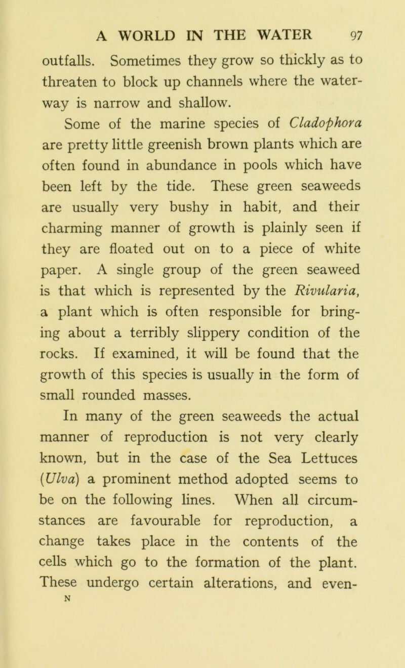 outfalls. Sometimes they grow so thickly as to threaten to block up channels where the water- way is narrow and shallow. Some of the marine species of Cladophora are pretty little greenish brown plants which are often found in abundance in pools which have been left by the tide. These green seaweeds are usually very bushy in habit, and their charming manner of growth is plainly seen if they are floated out on to a piece of white paper. A single group of the green seaweed is that which is represented by the Rivularia, a plant which is often responsible for bring- ing about a terribly slippery condition of the rocks. If examined, it will be found that the growth of this species is usually in the form of small rounded masses. In many of the green seaweeds the actual manner of reproduction is not very clearly known, but in the case of the Sea Lettuces (Ulva) a prominent method adopted seems to be on the following lines. When all circum- stances are favourable for reproduction, a change takes place in the contents of the cells which go to the formation of the plant. These undergo certain alterations, and even- N