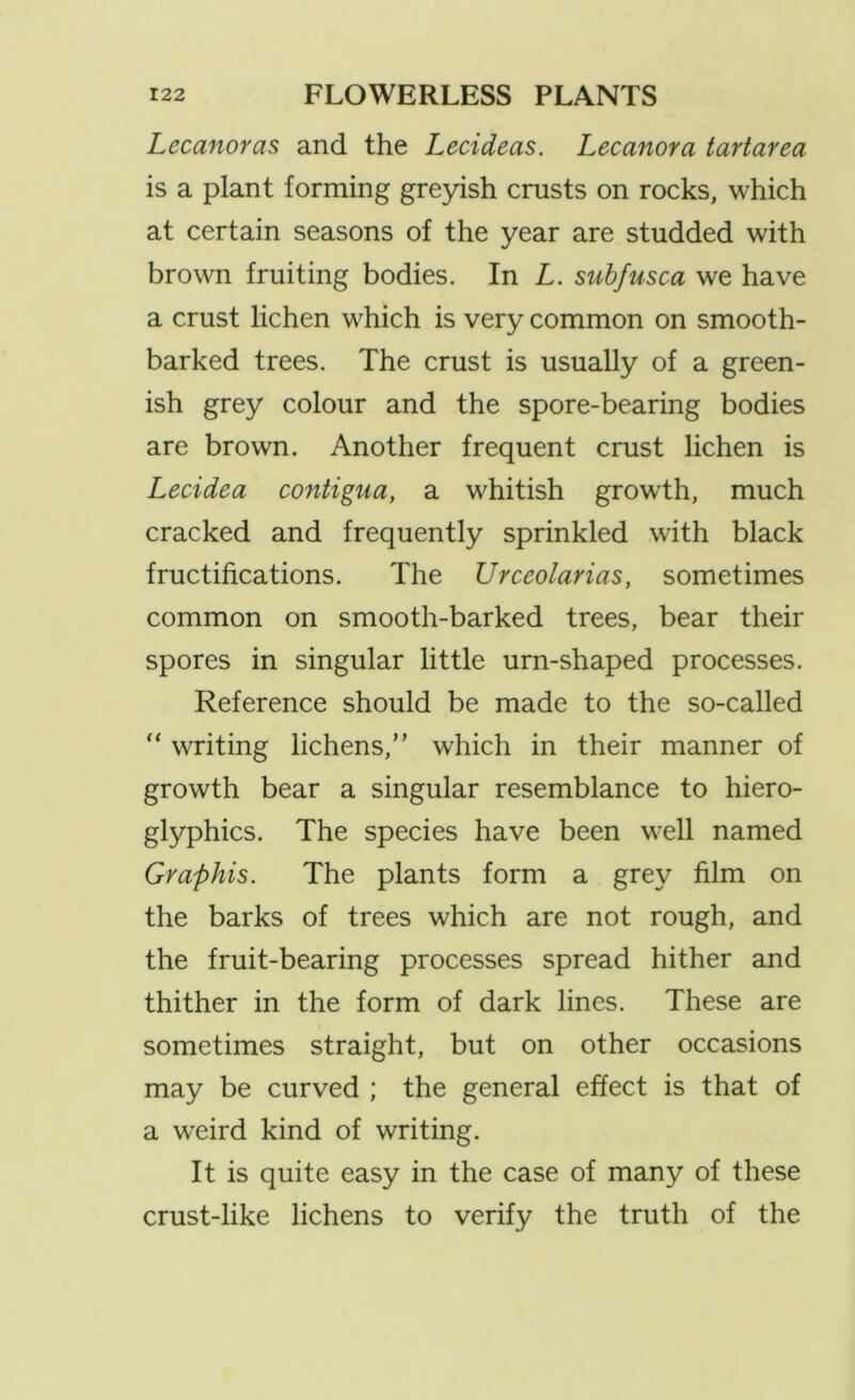 Lecanoras and the Lecideas. Lecanora tartarea is a plant forming greyish crusts on rocks, which at certain seasons of the year are studded with brown fruiting bodies. In L. suhfusca we have a crust lichen which is very common on smooth- barked trees. The crust is usually of a green- ish grey colour and the spore-bearing bodies are brown. Another frequent crust lichen is Lecidea contigua, a whitish growth, much cracked and frequently sprinkled with black fructifications. The Urceolarias, sometimes common on smooth-barked trees, bear their spores in singular little urn-shaped processes. Reference should be made to the so-called ‘‘ writing lichens,” which in their manner of growth bear a singular resemblance to hiero- glyphics. The species have been well named Gy aphis. The plants form a grey film on the barks of trees which are not rough, and the fruit-bearing processes spread hither and thither in the form of dark lines. These are sometimes straight, but on other occasions may be curved ; the general effect is that of a weird kind of writing. It is quite easy in the case of many of these crust-like lichens to verify the truth of the
