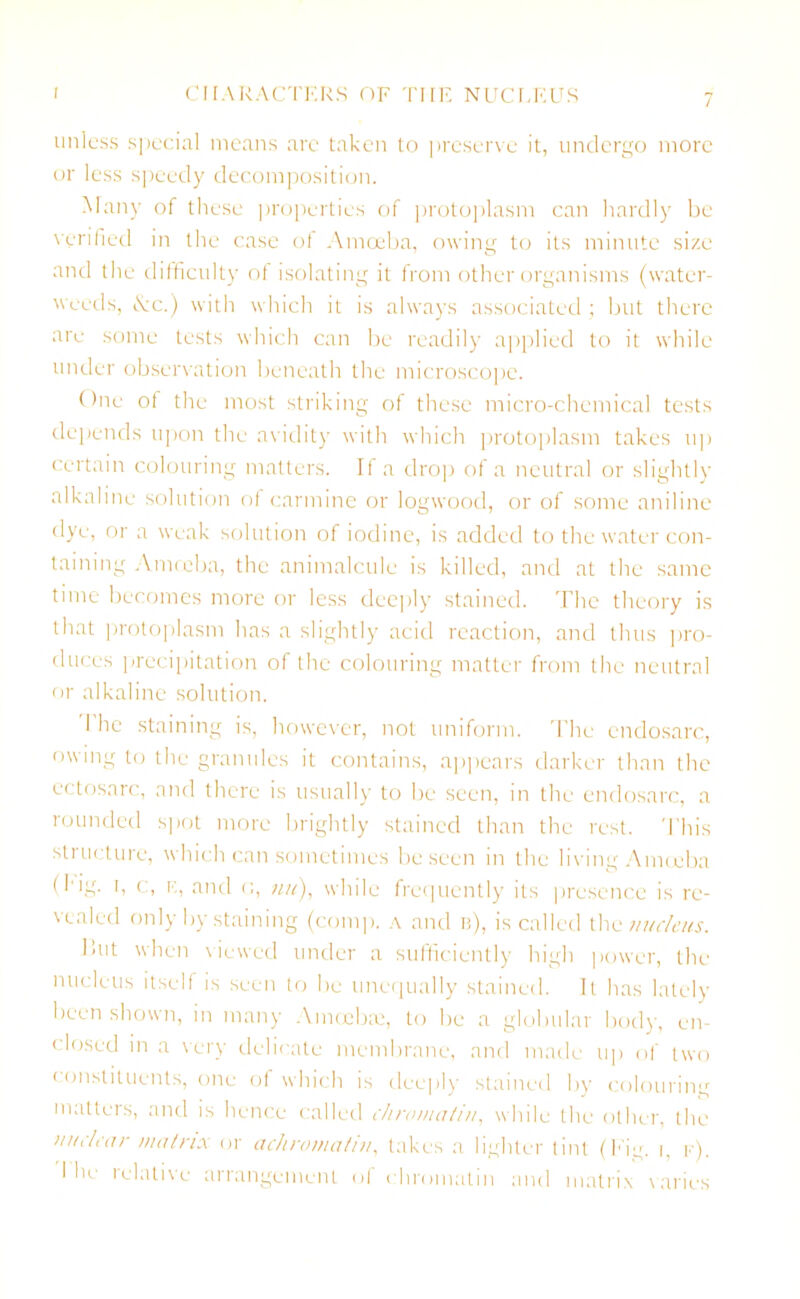 r CHARACTERS OF THE NUCLEUS unless special means arc taken to preserve it, undergo more or less speedy decomposition. Many of these properties of protoplasm can hardly be verified in the case of Amoeba, owing to its minute size and the difficulty of isolating it from other organisms (water- weeds, &c.) with which it is always associated; but there are some tests which can be readily applied to it while under observation beneath the microscope. One of the most striking of these micro-chemical tests depends upon the avidity with which protoplasm takes up certain colouring matters. If a drop of a neutral or slightly alkaline solution of carmine or logwood, or of some aniline dye, or a weak solution of iodine, is added to the water con- taining Amoeba, the animalcule is killed, and at the same time becomes more or less deeply stained. The theory is that protoplasm has a slightly acid reaction, and thus pro- duces precipitation of the colouring matter from the neutral or alkaline solution. I he staining is, however, not uniform. The cndosarc, owing to the granules it contains, appears darker than the ectosarc, and there is usually to be seen, in the cndosarc, a rounded spot more brightly stained than the rest. This structure, which can sometimes be seen in the living Amoeba (fig. i, c, e, and mi), while frequently its presence is re- vealed only by staining (comp, a and n), is called the nucleus. Hut when viewed under a sufficiently high power, the nucleus itself is seen to be unequally stained. It has lately been shown, in many Amoebre, to be a globular body, en- closed in a very delicate membrane, and made up of two constituents, one of which is deeply stained by colouring matters, and is hence called chromatin, while the other, the nuclear matrix or acliromatiii, takes a lighter tint (Fig, g F\ I he relative arrangement of chromatin and matrix varies
