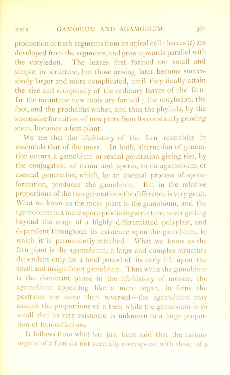 production of fresh segments from its apical cell : leaves (/) are developed from the segments, and grow upwards parallel with the cotyledon. The leaves first formed are small and simple in structure, but those arising later become succes- sively larger and more complicated, until they finally attain the size and complexity of the ordinary leaves of the fern. In the meantime new roots are formed ; the cotyledon, the foot, and the prothallus wither, and thus the phyllula, by the successive formation of new parts from its constantly growing stem, becomes a fern-plant. We see that the life-history of the fern resembles in essentials that of the moss. In both, alternation of genera- tion occurs, a gamobium or sexual generation giving rise, by the conjugation of ovum and sperm, to an agamobium or asexual generation, which, by an asexual process of spore- formation, produces the gamobium. But in the relative proportions of the two generations the difference is very great. What we know as the moss plant is the gamobium, and the agamobium is a mere spore-producing structure, never getting beyond the stage of a highly differentiated polyplast, and dependent throughout its existence upon the gamobium, to which it is permanently attached. What we know as the fern plant is the agamobium, a large and complex structure dependent only for a brief period of its early life upon the small and insignificant gamobium. Thus while the gamobium is the dominant phase in the life-history of mosses, the agamobium appearing like a mere organ, in ferns the positions are more than reversed—the agamobium may assume the proportions of a tree, while the gamobium is so small that its very existence is unknown to a large propor- tion of fern-collectors. It follows from what has just been said that the various organs of a fern do not severally correspond with those of a