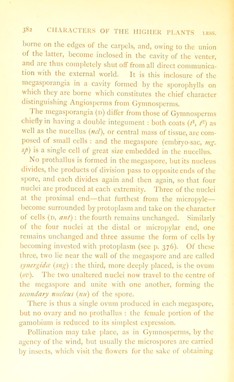 I.ESS. 3^2 CHARACTERS OF THE HIGHER PLANTS borne on the edges of the carpels, and, owing to the union of the latter, become inclosed in the cavity of the venter, and are thus completely shutoff from all direct communica- tion with the external world. It is this inclosure of the megasporangia in a cavity formed by the sporophylls on which they are borne which constitutes the chief character distinguishing Angiosperms from Gymnosperms. 1 he megasporangia (d) differ from those of Gymnosperms chiefly in having a double integument : both coats (l1, ?-) as well as the nucellus (ncl), or central mass of tissue, are com- posed of small cells : and the megaspore (embryo-sac, mg. sp) is a single cell of great size embedded in the nucellus. No prothallus is formed in the megaspore, but its nucleus divides, the products of division pass to opposite ends of the spore, and each divides again and then again, so that four nuclei are produced at each extremity. Three of the nuclei at the proximal end—that furthest from the micropyle— become surrounded by protoplasm and take on the character of cells (d, ant): the fourth remains unchanged. Similarly of the four nuclei at the distal or micropylar end, one remains unchanged and three assume the form of cells by becoming invested with protoplasm (see p. 376). Of these three, two lie near the wall of the megaspore and are called sytiergidcc (s?ig) : the third, more deeply placed, is the ovum (ov). The two unaltered nuclei now travel to the centre of the megaspore and unite with one another, forming the secondary nucleus (nu) of the spore. There is thus a single ovum produced in each megaspore, but no ovary and no prothallus : the female portion of the gamobium is reduced to its simplest expression. Pollination may take place, as in Gymnosperms, by the agency of the wind, but usually the microspores are carried by insects, which visit the flowers for the sake of obtaining