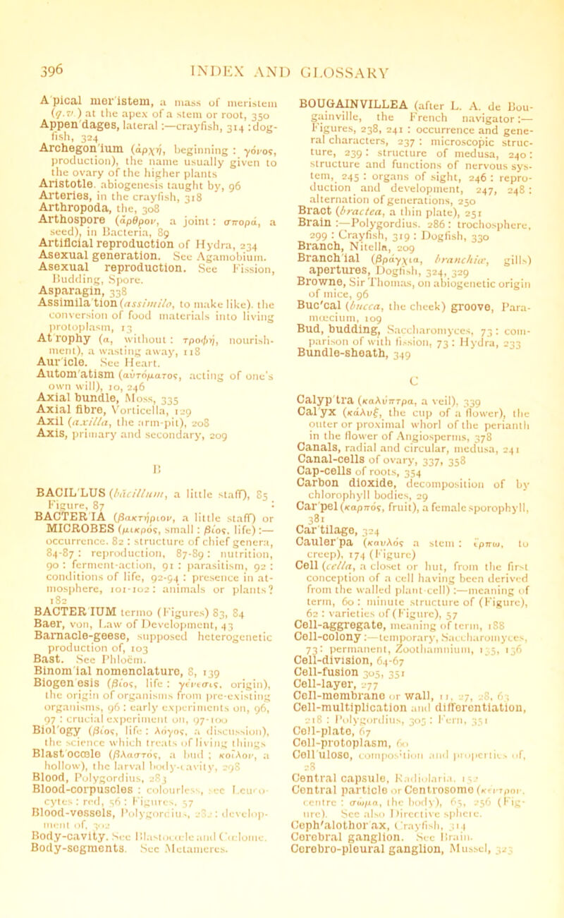 A pical ill or isteui, a mass of meristem (<7.7l) at the apex of a stem or root, 350 Appen dages, lateral:—crayfish, 314 : dog- fish, 324 Archegon ium (apxv, beginning : yoi/09, production), the name usually given to the ovary of the higher plants Aristotle, abiogenesis taught by, 96 Arteries, in the crayfish, 318 Arthropoda, the, 308 Arthospore (apdpou, a joint: o-rropa, a seed), in Bacteria, 89 Artificial reproduction of Hydra, 234 Asexual generation. See Agamobium. Asexual reproduction. See Fission, Budding, Spore. Asparagin, 338 Assimila tion(assimilo, to make like), the conversion of food materials into living protoplasm, 13 At rophy (a, without: Tpo<f)ij, nourish- ment), a wasting away, 118 Auricle. See Heart. Autom atism (avT6fxa.T0<;, acting of one's own will), 10, 246 Axial bundle, Moss, 335 Axial fibre, Vorticella, 129 Axil (axilla, the arm-pit), 208 Axis, primary and secondary, 209 B BACIL LUS (bacillum, a little staff)* 85 Figure, 87 • BACTERIA (ftaKTripiov, a little .staff) or MICROBES (piiKpos, small : /9io?. life):— occurrence. 82 : structure of chief genera, 84-87 : reproduction, 87-89: nutrition, 90 : ferment-action, 91 : parasitism, 92 : conditions of life, 92-94 : presence in at- mosphere, 101-102: animals or plants? 182 BACTER IUM terino (Figures) 83, 84 Baer, von, Law of Development, 43 Barnacle-geese, supposed heterogcnetic production of, 103 Bast. See Phloem. Binomial nomenclature, 8, 139 Biogen esis (/3i09, life : ycVecn.9. origin), the origin of organisms from pre-existing organisms, 96 : early experiments on, 96, 97 : crucial experiment on, 97-100 Biol'Ogy (/Sick, life : Aoyo?, a discussion), the science which treats of living things Blast'occele (fi\ao-To?, .1 bull ; xoiAor, a hollow), the larval hody-tavily, 29S Blood, Polygordius, 283 Blood-corpuscles : colourli ■ , et I euro- cytes : red, 36 : Figures, 57 Blood-vessols, Polygordiu., .-j : develop- ment of, 302 Body-cavity. N.-c Blastonidcaml (.dome. Body-segments. Sec Metamercs. BOUGAINVILLEA (after L. A. de Bou- gainville, the French navigator:— Figures, 238, 241 : occurrence and gene- ral characters, 237 : microscopic struc- ture, 239: structure of medusa, 240: structure and functions of nervous sys- tem.. 245 : organs of sight, 246 : repro- duction and development, 247, 248: alternation of generations, 250 Bract {braetea, a thin plate), 251 Brain :—Polygordius. 286 : trochosphere, 299 : Crayfish, 3:9 : Dogfish, 330 Branch, Nitelln, 209 Branchial (jSpdyyia, branchiae, gills) apertures, Dogfish, 324, 329 Browne, Sir Thomas, on abiogcnetic origin of mice, 96 Buc'cal (bucca, the cheek) groove, Para- miucium, 109 Bud, budding, Saccharomyces, 73; com- parison of with fission, 73: Hydra, 233 Bundle-sheath, 349 C Calyp'tra (tcaAvjrrpa, a veil). 339 Cal yx (xdAi/f, the cup of a flower), the outer or proximal whorl of the perianth in the flower of Angiospernts, 378 Canals, radial and circular, medusa, 241 Canal-cells of ovary, 337, 358 Cap-cells of roots, 354 Carbon dioxide, decomposition of by chlorophyll bodies, 29 Car'pel(xopjro9, fruit), a female sporophyll, 381 Car tilage, 324 Cauler pa (xavAos a stem : tprrio, to creep), 174 (Figure) Cell (eella, a closet or hut, from the first conception of a cell having been derived from the walled plant-cell):—meaning of term, 60 : minute structure of (Figure), 62 : varieties of (Figure), 57 Cell-aggregate, meaning of term, 1S8 Cell-colony:—temporary, Saccharomyces, 73: permanent, Zoothamnium, 115, 136 Cell-division, 64-67 Cell-fusion 305, 351 Cell-layer, 277 Coil-membrane or wall, n. .7, ..-8,63 Cell-multiplication ami differentiation, 218 : Polygordius, 303: Fern, 351 Cell-plate, 67 Coil-protoplasm, 60 Cell liloso, composition and properties of, 28 Central capsule, Radiolaria, 15 - Central particle or Centrosomo (ra-Tpor. centre : erw/ca, the body), 65, 256 (Fig- ure). Sec also Directive sphere. Ceph'alothor ax, Crayfish, 314 Corebral ganglion. Sec Brain. Cerobro-ploural ganglion, Mussel,